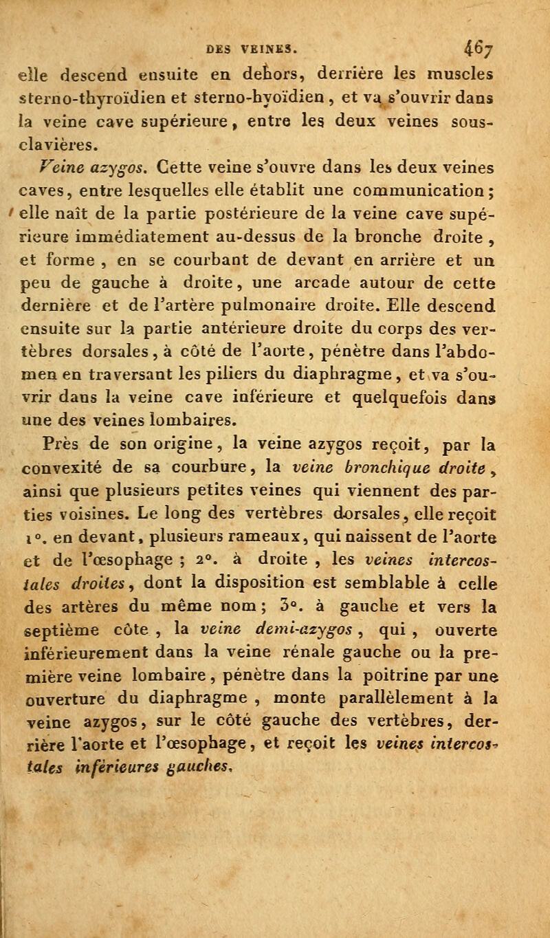 elle descend ensuite en dehors, deirière les muscles sterno-thyroïdien et sterno-hyoïdien , et va s'ouvrir dans la veine cave supérieure, entre les deux veines sous- clavières. Feine azygos. Cette veine s'ouvre dans les deux veines caves, entre lesquelles elle établit une communication; I elle naît de la partie postérieure de la veine cave supé- rieure immédiatement au-dessus de la bronche droite , et forme , en se courbant de devant en arrière et ua peu de gauche à droite, une arcade autour de cette dernière et de l'artère pulmonaire droite. Elle descend, ensuite sur la partie antérieure droite du corps des ver- tèbres dorsales, à côté de l'aorte, pénètre dans l'abdo- men en traversant les piliers du diaphragme, et va s'ou- vrir dans la veine cave inférieure et quelquefois dans une des veines lombaires. Près de son origine, la veine azygos reçoit, par la convexité de sa courbure, la veine bronchique droite, ainsi que plusieurs petites veines qui viennent des par- ties voisines. Le long des vertèbres dorsales, elle reçoit 1°. en devant, plusieurs rameaux, qui naissent de l'aorte et de l'œsophage ; 2°. à droite , les veines intercos- tales droites, dont la disposition est semblable à celle des artères du même nom ; 3°. à gauche et vers la septième côte , la veine demi-azygos, qui , ouverte inférieurement dans la veine rénale gauche ou la pre- mière veine lombaire, pénètre dans la poitrine par une ouverture du diaphragme , monte parallèlement à la veine azygos, sur le côté gauche des vertèbres, der- rière l'aorte et l'œsophage, et reçoit les veines interços-o taies inférieures (gauches.