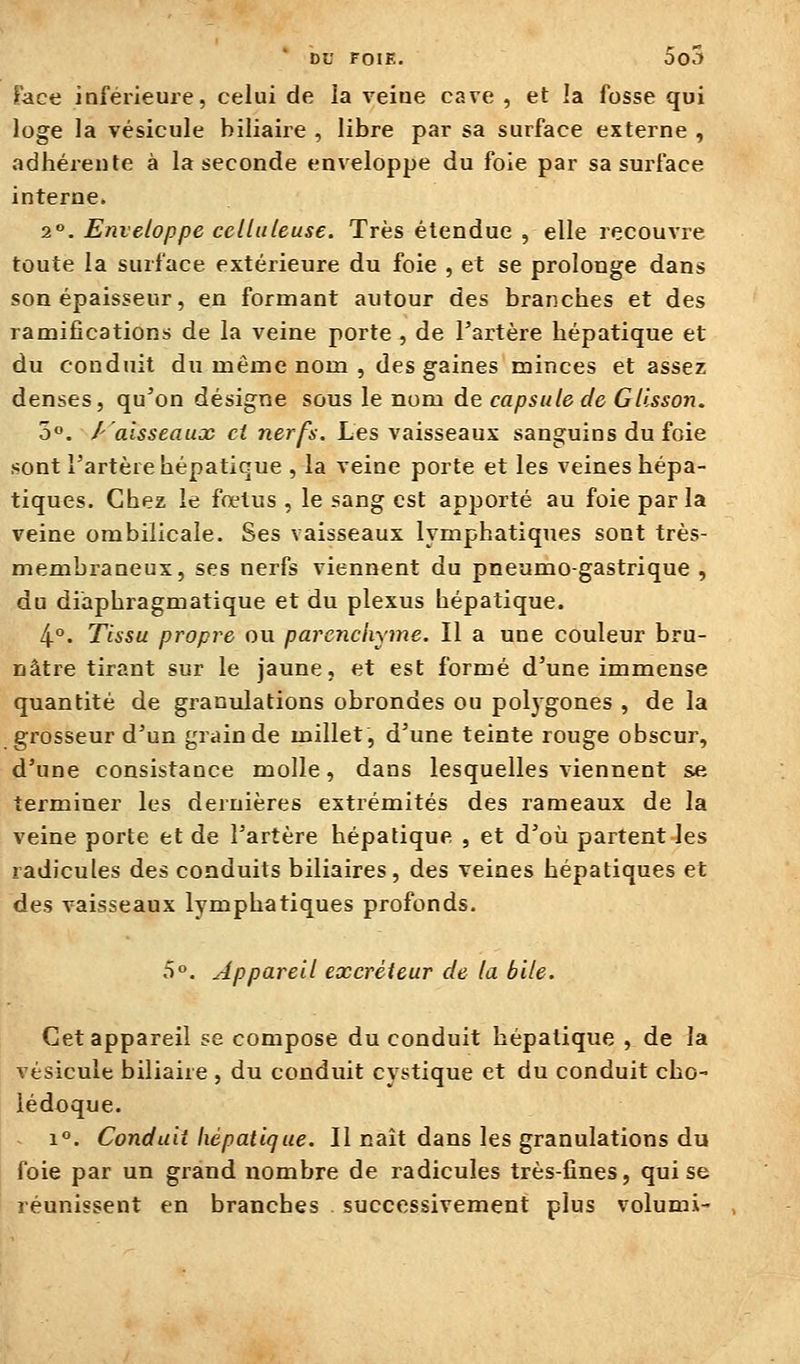 lace inférieure, celui de la veine cave , et la fosse qui loge la vésicule biliaire , libre par sa surface externe , adhérente à la seconde enveloppe du foie par sa surface interne. 2. Enveloppe ceLiuleuse. Très étendue , elle recouvre toute la surface extérieure du foie , et se prolonge dans son épaisseur, en formant autour des branches et des ramifications de la veine porte , de l'artère hépatique et du conduit du même nom , des gaines minces et assez denses, qu'on désigne sous le nom de capsule de Gllsson. 5°. /''aisseaux ci nerfs. Les vaisseaux sanguins du foie ■sont l'artère hépatique , la veine porte et les veines hépa- tiques. Chez le fœtus , le sang est apporté au foie par la veine ombilicale. Ses vaisseaux lymphatiques sont très- membraneux, ses nerfs viennent du pneumogastrique , du diaphragmatique et du plexus hépatique. 4°. Tissu propre ou parenchyme. Il a une couleur bru- nâtre tirant sur le jaune, et est formé d'une immense quantité de granulations obrondes ou poljgones , de la grosseur d'un grain de millet, d'une teinte rouge obscur, d'une consistance molle, dans lesquelles viennent se terminer les dernières extrémités des rameaux de la veine porte et de l'artère hépatique , et d'où partent les radicules des conduits biliaires, des veines hépatiques et des vaisseaux lymphatiques profonds. 5». Appareil excréteur de la bile. Cet appareil se compose du conduit hépatique , de la vésicule biliaire , du conduit cystique et du conduit cho- lédoque. 1°. Conduit hépatique. Il naît dans les granulations du foie par un grand nombre de radicules très-fines, qui se réunissent en branches successivement plus volumi-