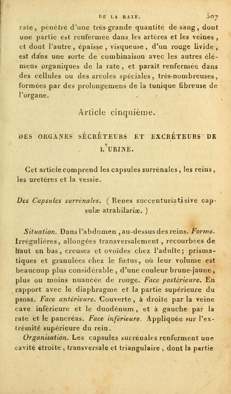 raie, pénétré d'une très-grande quantité de sang, dont une partie est renfermée dans les artères et les veines , et dont l'autre, épaisse, visqueuse, d'un rouge livide, est dafns une sorte de combinaison avec les autres élé- mens organiques de la rate , et paraît renfermée dans des cellules ou des aréoles spéciales, très-nombreuses, formées par des prolougemens de la tunique fibreuse de l'organe. Article cinquième. des organes secreteurs et excréteurs de l'urine. Cet article comprend les capsules surrénales, les reins, les uretères et la vessie. Des Capsules surrénales. ( Renés succenturiatisive cap- sulse atrabilariae. ). Situation. Dans Tabdomen , au-dessus des reins. Forme. Irrégulières, allongées transversalement, recourbées de ifaut en bas, creuses et ovoïdes cliez l'adulte; prisma- tiques et granulées cbez le fœtus, où leur volume est beaucoup plus considérable , d'une couleur brune-jaune, plus ou moins nuancée de rouge. Face postérieure. En rapport avec le diaphragme et la partie supérieure du psoas. Face antérieure. Couverte, à droite parla veine cave inférieure et le duodénum, et à gauche par la rate et le pancréas. Face inférieure. Appliquée sur l'ex- trémité supérieure du rein. Organisation. Les capsules surrénales renferment une eavité étroite , transversale et triangulaire , dont la partie