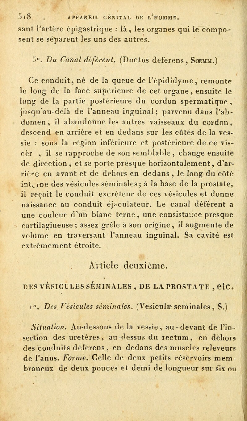 sant i'artère épigastrique : là, les organes qui le compo- sent se séparent les uns des autres. 5. Du Canal défèrent. (Ductus deferens, Scemm.) Ce conduit, né de la queue de l'épididyine, remonte le long de la face supérieure de cet organe, ensuite le long de la partie postérieure du cordon spermatique , jusqu'au-delà de l'anneau inguinal; parvenu dans l'ab- domen , il abandonne les autres vaisseaux du cordon, descend en arrière et en dedans sur les côtés de la ves- sie : sous la région inférieure et postérieure de ce vis- cèr , il se rapprocbe de son semblable, cbange ensuite de direction, et se porte presque horizontalement, d'ar- rière en avant et de dehors en dedans , le long du côté interne des vésicules séminales; à la base de la prostate, il reçoit le conduit excréteur de ces vésicules et donne naissance au conduit éjcculateur. Le canal déférent a une couleur d'un blanc terne, une consistance presque cartilagineuse; assez grêle à son origine, il augmente de volume en traversant l'anneau inguinal. Sa cavité est extrêmement étroite. Article deuxième. 1>ES VÉSICULES SEMINALES , DE LA PROSTATE , etC. 1°. Des Vésicules séminales. (Vesiculae séminales , S.) Situation. Au-dessous de la vessie, au-devant de l'in- sertion des uretères, au-(^essui> du rectum, en dehors des conduits déférens , en dedans des muscles releveurs de l'anus. Forme. Celle de deux petits réservoirs mem- braneux de deux pouces et demi de longueur sur six on