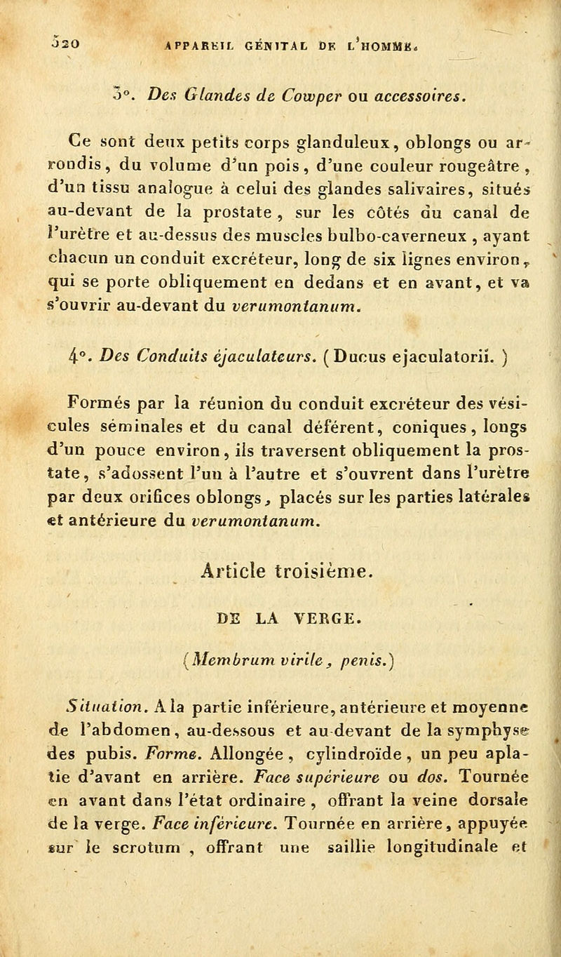 o°. Dea Glandes de Cowper ou accessoires. Ce sont deux petits corps glanduleux, oblongs ou ar» rondis, du volume d'un pois, d'une couleur rougeâtre , d'un tissu analogue à celui des glandes salivaires, situés au-devant de la prostate , sur les côtés du canal de l'urètre et au-dessus des muscles bulbo-caverneux , ayant chacun un conduit excréteur, long de six lignes environ ^ qui se porte obliquement en dedans et en avant, et va s'ouvrir au-devant du verumontanum. 4. Des Conduits éjaculateurs. (Ducus ejacuîatoriï. ) Formés par la réunion du conduit excréteur des vési- cules séminales et du canal déférent, coniques, longs d'un pouce environ, ils traversent obliquement la pros- tate, s'adossent l'un à l'autre et s'ouvrent dans l'urètre par deux orifices oblongs, placés sur les parties latérales et antérieure du verumontanum. Article troisième. DE LA VEBGE. [Membrum virile, pénis.) Situation. Ala partie inférieure, antérieure et moyenne de l'abdomen, au-dessous et au devant de la symphyse des pubis. Forme. Allongée , cylindroïde , un peu apla- tie d'avant en arrière. Face supérieure ou dos. Tournée en avant dans l'état ordinaire , oÔrant la veine dorsale de la verge. Face inférieure. Tournée en arrière, appuyée «ur le scrotum , offrant une saillie longitudinale et