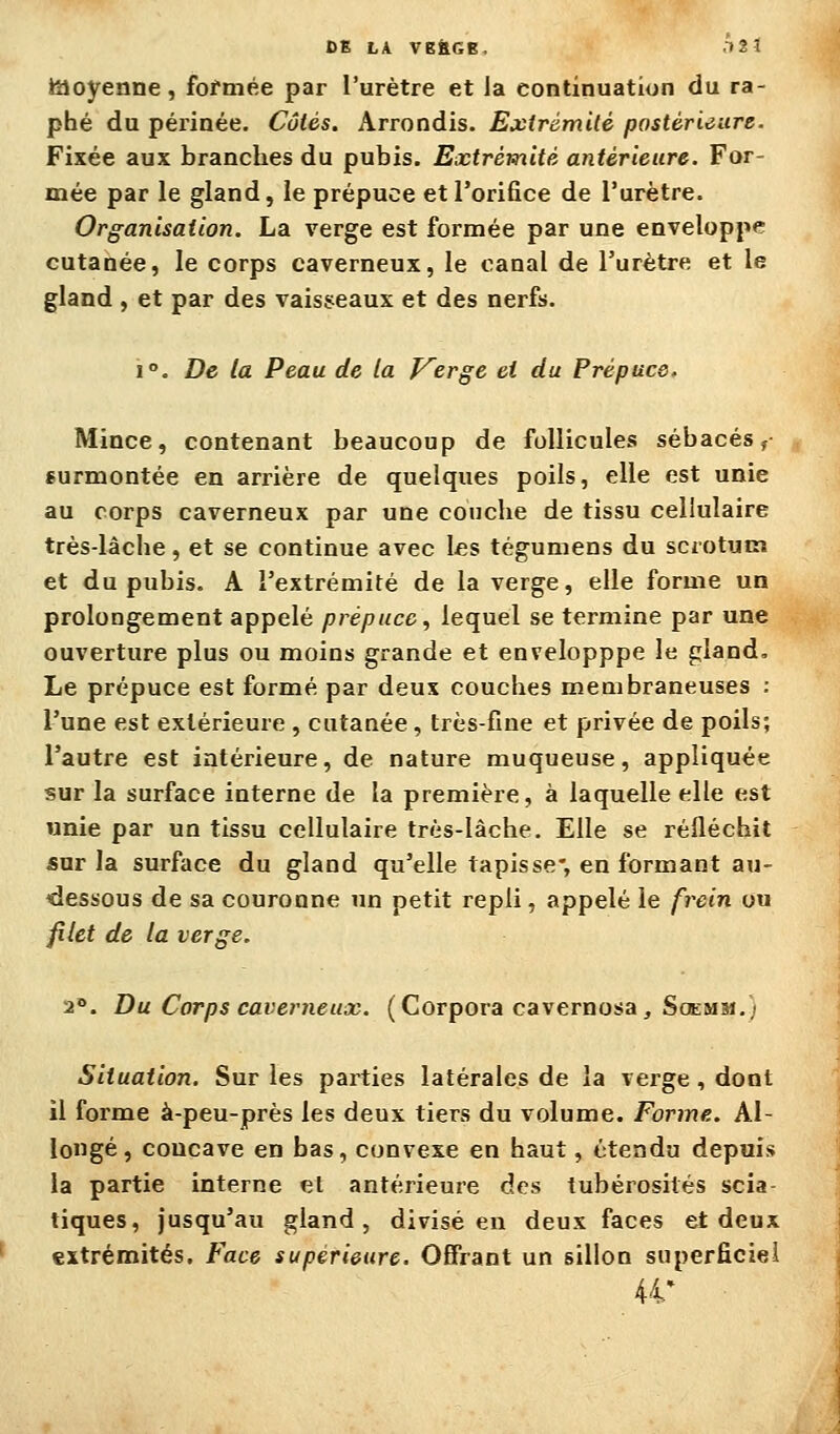 laoyenne, fofmée par l'urètre et la continuation du ra- phé du périnée. Côtés. Arrondis. Extrémité postérieure. Fixée aux branches du pubis. Eictrèmitè antérieure. For- mée par le gland, le prépuce et l'orifice de l'urètre. Organisation. La verge est formée par une enveloppe cutanée, le corps caverneux, le canal de l'urètre et le gland , et par des vaiss^eaux et des nerfs. 1°. De ta Peau de la Vierge et du Prépuce. Mince, contenant beaucoup de follicules sébacés ^ eurmontée en arrière de quelques poils, elle est unie au corps caverneux par une couche de tissu cellulaire très-lâche, et se continue avec les tégumens du scrotum et du pubis. A l'extrémité de la verge, elle forme un prolongement appelé prépuce, lequel se termine par une ouverture plus ou moins grande et envelopppe le gland. Le prépuce est formé par deux couches membraneuses : l'une est extérieure , cutanée, très-fine et privée de poils; l'autre est intérieure, de nature muqueuse, appliquée sur la surface interne de la première, à laquelle elle est unie par un tissu cellulaire très-lâche. Elle se réfléchit sur la surface du gland qu'elle tapisse-, en formant au- dessous de sa couronne un petit repli, appelé le frein ou filet de la verge. 2°. Du Corps caverneux. ( Corpora cavernosa , Soemsi.i Situation. Sur les parties latérales de la verge, dont il forme à-peu-près les deux tiers du volume. Forme. Al- longé, concave en bas, convexe en haut, étendu depuis la partie interne et antérieure des tubérosités scia- tiques, jusqu'au gland, divisé en deux faces et deux extrémités. Face supérieure. Offrant un sillon superficiel 44'