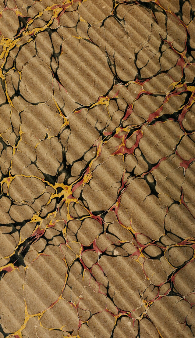 No text description is available for this image