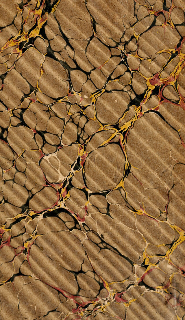 No text description is available for this image