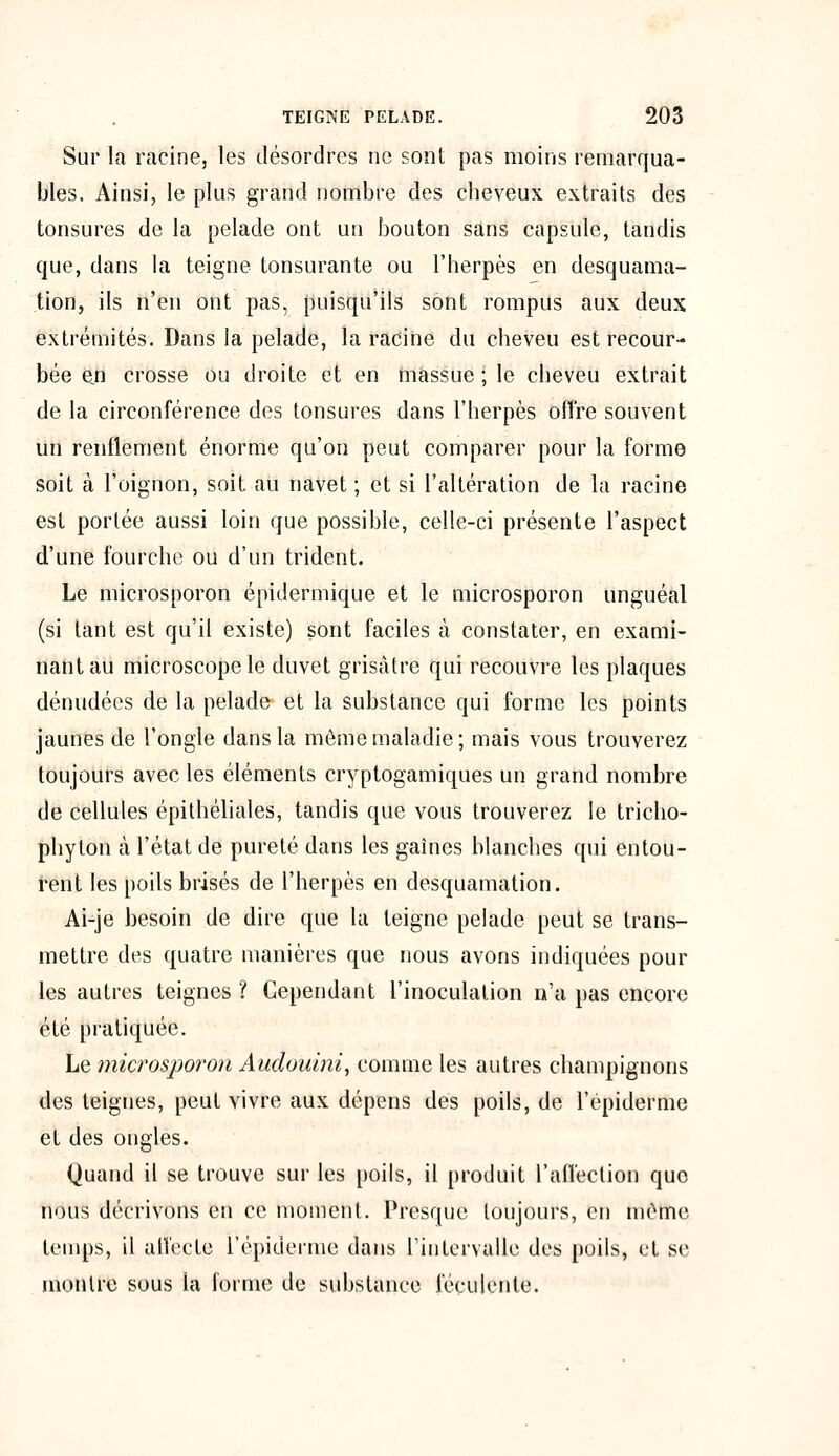 Sur la racine, les désordres ne sont pas moins remarqua- bles. Ainsi, le plus grand nombre des cheveux extraits des tonsures de la pelade ont un bouton sans capsule, tandis que, dans la teigne tonsurante ou l'herpès en desquama- tion, ils n'en ont pas, puisqu'ils sont rompus aux deux extrémités. Dans la pelade, la racine du cheveu est recour- bée en crosse ou droite et en massue ; le cheveu extrait de la circonférence des tonsures dans l'herpès offre souvent un renflement énorme qu'on peut comparer pour la forme soit à l'oignon, soit au navet ; et si l'altération de la racine est portée aussi loin que possible, celle-ci présente l'aspect d'une fourche ou d'un trident. Le microsporon épidermique et le microsporon unguéal (si tant est qu'il existe) sont faciles à constater, en exami- nant au microscope le duvet grisâtre qui recouvre les plaques dénudées de la pelade et la substance qui forme les points jaunes de l'ongle dans la même maladie; mais vous trouverez toujours avec les éléments cryptogamiques un grand nombre de cellules épithéliales, tandis que vous trouverez le tricho- phylon à l'état de pureté dans les gaines blanches qui entou- rent les poils brisés de l'herpès en desquamation. Ai-je besoin de dire que la teigne pelade peut se trans- mettre des quatre manières que nous avons indiquées pour les autres teignes ? Cependant l'inoculation n'a pas encore été pratiquée. Le microsporon Àudouini, comme les autres champignons des teignes, peut vivre aux dépens des poils, de 1'épiderme et des ongles. Quand il se trouve sur les poils, il produit l'affection quo nous décrivons en ce moment. Presque toujours, en mémo temps, il affecte L'épidémie dans l'intervalle des poils, et se montre sous ia forme de substance féculente.