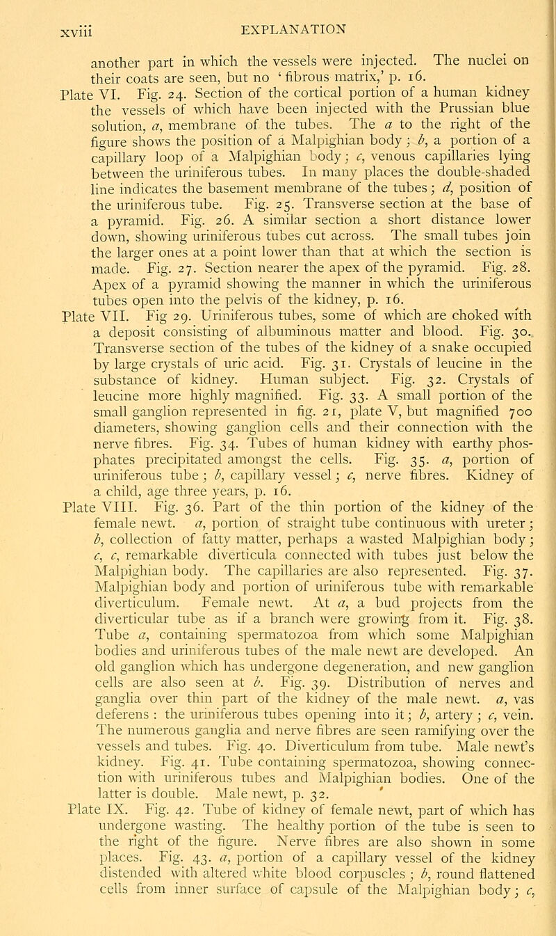 another part in which the vessels were injected. The nuclei on their coats are seen, but no ' fibrous matrix,' p. i6. Plate VI. Fig. 24. Section of the cortical portion of a human kidney the vessels of which have been injected with the Prussian blue solution, a, membrane of the tubes. The a to the right of the figure shows the position of a Malpighian body; b^ a portion of a capillary loop of a Malpighian body; <:, venous capillaries lying between the uriniferous tubes. In many places the double-shaded line indicates the basement membrane of the tubes; d, position of the uriniferous tube. Fig. 25. Transverse section at the base of a pyramid. Fig. 26. A similar section a short distance lower down, showing uriniferous tubes cut across. The small tubes join the larger ones at a point lower than that at which the section is made. Fig. 27. Section nearer the apex of the pyramid. Fig. 28. Apex of a pyramid showing the manner in which the uriniferous tubes open into the pelvis of the kidney, p. 16. Plate VII. Fig 29. Uriniferous tubes, some of which are choked with a deposit consisting of albuminous matter and blood. Fig. 30. Transverse section of the tubes of the kidney of a snake occupied by large crystals of uric acid. Fig. 31. Crystals of leucine in the substance of kidney. Human subject. Fig. 32. Crystals of leucine more highly magnified. Fig. 33. A small portion of the small ganglion represented in fig. 21, plate V, but magnified 700 diameters, showing ganglion cells and their connection with the nerve fibres. Fig. 34. Tubes of human kidney with earthy phos- phates precipitated amongst the cells. Fig. 35. «, portion of uriniferous tube ; b, capillary vessel; c, nerve fibres. Kidney of a child, age three years, p. 16. Plate VIII. Fig. 36. Part of the thin portion of the kidney of the female newt, a, portion of straight tube continuous with ureter; ^, collection of fatty matter, perhaps a wasted Malpighian body; (T, c, remarkable diverticula connected with tubes just below the Malpighian body. The capillaries are also represented. Fig. 37. Malpighian body and portion of uriniferous tube with remarkable diverticulum. Female newt. At a, a bud projects from the diverticular tube as if a branch were growing from it. Fig. 38. Tube <?, containing spermatozoa from which some Malpighian bodies and uriniferous tubes of the male newt are developed. An old ganglion which has undergone degeneration, and new ganglion cells are also seen at b. Fig. 39. Distribution of nerves and ganglia over thin part of the kidney of the male newt, a, vas deferens : the uriniferous tubes opening into it; b, artery; c, vein. The numerous ganglia and nerve fibres are seen ramifying over the vessels and tubes. Fig. 40. Diverticulum from tube. Male newt's kidney. Fig. 41. Tube containing spermatozoa, showing connec- tion with uriniferous tubes and Malpighian bodies. One of the latter is double. Male newt, p. 32. Plate IX. Fig. 42. Tube of kidney of female newt, part of which has undergone wasting. The healthy portion of the tube is seen to the right of the figure. Nerve fibres are also shown in some places. Fig. 43. a, portion of a capillary vessel of the kidney distended with altered Vviiite blood corpuscles ; b, round flattened cells from inner surface of capsule of the Malpighian body; c^