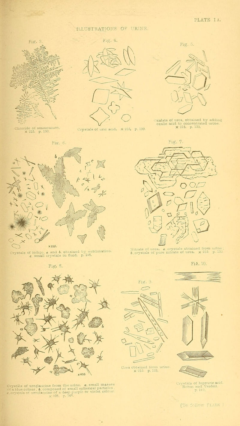 PLATE I A. <0aK\^S5i,«; sr '4 »' '-■ ^ Cbloiide o£ ammouiani. X 215. p. 130. IbLTjS'.['RATIONS OF URINE. e'lg,. i. cfpL^ o rystals of uric acid. X iii5. p. 139. Fig. ^ ^^ 0. ^^<s^// ^ iixalate of urea, obtained by adding oxaUo acid to concentrated urine. X 215. p. 133. «V \^ fo Bio. 6. l^V ng. 7. 1S M( « j- rystals of indigo, a and 6. obtained by sublimation. e. small crystals in fluid, p. US. Fig. S. Niti-ate of urea. a. crystals obtained from urine ; 6, crystals of pure nitrate of urea, x 215. p. 132 Fi^. 1-0. /stals of uroglauciue from tbe urine, a, small masses 1 blue colour; b, composed of small spHerical particles . -vstalB of nronlaucine of a deep purple or violet colour. X ^03. p. 14. Crystals of hippuric acid. Robin and Verdeil. p. 142. [Tr