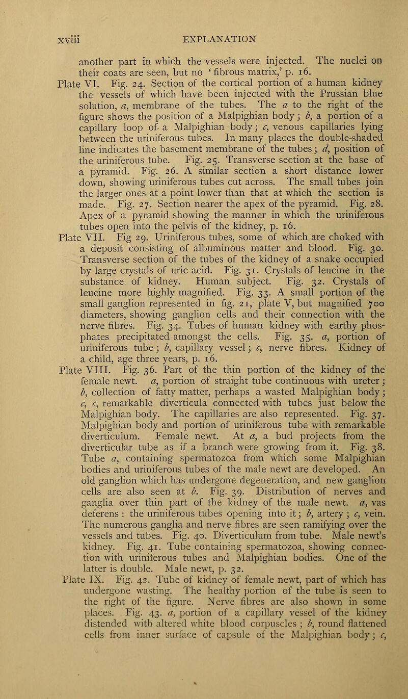 another part in which the vessels were injected. The nuclei on their coats are seen, but no ' fibrous matrix,' p. 16. Plate VI. Fig. 24. Section of the cortical portion of a human kidney the vessels of which have been injected with the Prussian blue solution, a, membrane of the tubes. The a to the right of the figure shows the position of a Malpighian body; b, a portion of a capillary loop of a Malpighian body; c, venous capillaries lying between the uriniferous tubes. In many places the double-shaded line indicates the basement membrane of the tubes; d, position of the uriniferous tube. Fig. 25. Transverse section at the base of a pyramid. Fig. 26. A similar section a short distance lower down, showing uriniferous tubes cut across. The small tubes join the larger ones at a point lower than that at which the section is made. Fig. 27. Section nearer the apex of the pyramid. Fig. 28. Apex of a pyramid showing the manner in which the uriniferous tubes open into the pelvis of the kidney, p. 16. Plate VII. Fig 29. Uriniferous tubes, some of which are choked with a deposit consisting of albuminous matter and blood. Fig. 30. Transverse section of the tubes of the kidney of a snake occupied by large crystals of uric acid. Fig. 31. Crystals of leucine in the substance of kidney. Human subject. Fig. 32. Crystals of leucine more highly magnified. Fig. 33. A small portion of the small ganglion represented in fig. 21, plate V, but magnified 700 diameters, showing ganglion cells and their connection with the nerve fibres. Fig. 34. Tubes of human kidney with earthy phos- phates precipitated amongst the cells. Fig. 35. a, portion of uriniferous tube ; b, capillary vessel; c, nerve fibres. Kidney of a child, age three years, p. 16. Plate VIII. Fig. 36. Part of the thin portion of the kidney of the female newt, a, portion of straight tube continuous with ureter; b, collection of fatty matter, perhaps a wasted Malpighian body; c, c, remarkable diverticula connected with tubes just below the Malpighian body. The capillaries are also represented. Fig. 37. Malpighian body and portion of uriniferous tube with remarkable diverticulum. Female newt. At a, a bud projects from the diverticular tube as if a branch were growing from it. Fig. 38. Tube <z, containing spermatozoa from which some Malpighian bodies and uriniferous tubes of the male newt are developed. An old ganglion which has undergone degeneration, and new ganglion cells are also seen at b. Fig. 39. Distribution of nerves and ganglia over thin part of the kidney of the male newt, a, vas deferens : the uriniferous tubes opening into it; b, artery; c, vein. The numerous ganglia and nerve fibres are seen ramifying over the vessels and tubes. Fig. 40. Diverticulum from tube. Male newt's kidney. Fig. 41. Tube containing spermatozoa, showing connec- tion with uriniferous tubes and Malpighian bodies. One of the latter is double. Male newt, p. 32. Plate IX. Fig. 42. Tube of kidney of female newt, part of which has undergone wasting. The healthy portion of the tube is seen to the right of the figure. Nerve fibres are also shown in some places. Fig. 43. a, portion of a capillary vessel of the kidney distended with altered white blood corpuscles ; b, round flattened cells from inner surface of capsule of the Malpighian body; c,