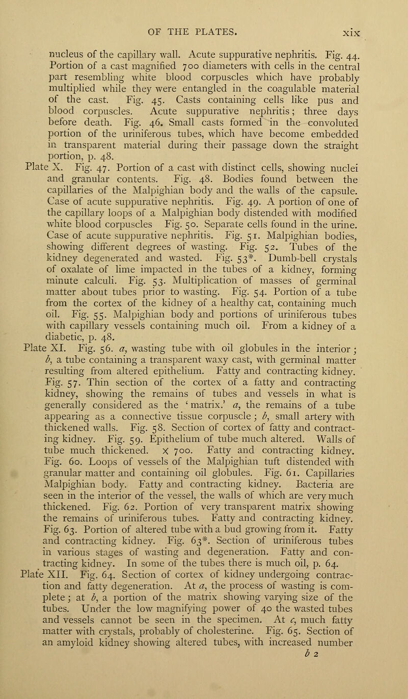 nucleus of the capillary wall. Acute suppurative nephritis. Fig. 44. Portion of a cast magnified 700 diameters with cells in the central part resembling white blood corpuscles which have probably multiplied while they were entangled in the coagulable material of the cast. Fig. 45. Casts containing cells like pus and blood corpuscles. Acute suppurative nephritis; three days before death. Fig. 46. Small casts formed in the convoluted portion of the uriniferous tubes, which have become embedded in transparent material during their passage down the straight portion, p. 48. Plate X. Fig. 47. Portion of a cast with distinct cells, showing nuclei and granular contents. Fig. 48. Bodies found between the capillaries of the Malpighian body and the walls of the capsule. Case of acute suppurative nephritis. Fig. 49. A portion of one of the capillary loops of a Malpighian body distended with modified white blood corpuscles Fig. 50. Separate cells found in the urine. Case of acute suppurative nephritis. Fig. 51. Malpighian bodies, showing different degrees of wasting. Fig. 52. Tubes of the kidney degenerated and wasted. Fig. 53*. Dumb-bell crystals of oxalate of lime impacted in the tubes of a kidney, forming minute calculi. Fig. 53. Multiplication of masses of germinal matter about tubes prior to wasting. Fig. 54. Portion of a tube from the cortex of the kidney of a healthy cat, containing much oil. Fig. 55. Malpighian body and portions of uriniferous tubes with capillary vessels containing much oil. From a kidney of a diabetic, p. 48. Plate XI. Fig. 56. a, wasting tube with oil globules in the interior; b, a tube containing a transparent waxy cast, with germinal matter resulting from altered epithelium. Fatty and contracting kidney. Fig. 57. Thin section of the cortex of a fatty and contracting kidney, showing the remains of tubes and vessels in what is generally considered as the ' matrix.' a, the remains of a tube appearing as a connective tissue corpuscle; b, small artery with thickened walls. Fig. 58. Section of cortex of fatty and contract- ing kidney. Fig. 59. Epithelium of tube much altered. Walls of tube much thickened. X 700. Fatty and contracting kidney. Fig. 60. Loops of vessels of the Malpighian tuft distended with granular matter and containing oil globules. Fig. 61. Capillaries Malpighian body. Fatty and contracting kidney. Bacteria are seen in the interior of the vessel, the walls of which are very much thickened. Fig. 62. Portion of very transparent matrix showing the remains of uriniferous tubes. Fatty and contracting kidney. Fig. 63. Portion of altered tube with a bud growing from it. Fatty and contracting kidney. Fig. 63*. Section of uriniferous tubes in various stages of wasting and degeneration. Fatty and con- tracting kidney. In some of the tubes there is much oil, p. 64. Plate XII. Fig. 64. Section of cortex of kidney undergoing contrac- tion and fatty degeneration. At a, the process of wasting is com- plete ; at b, a portion of the matrix showing varying size of the tubes. Under the low magnifying power of 40 the wasted tubes and vessels cannot be seen in the specimen. At c, much fatty matter with crystals, probably of cholesterine. Fig. 65. Section of an amyloid kidney showing altered tubes, with increased number b 2
