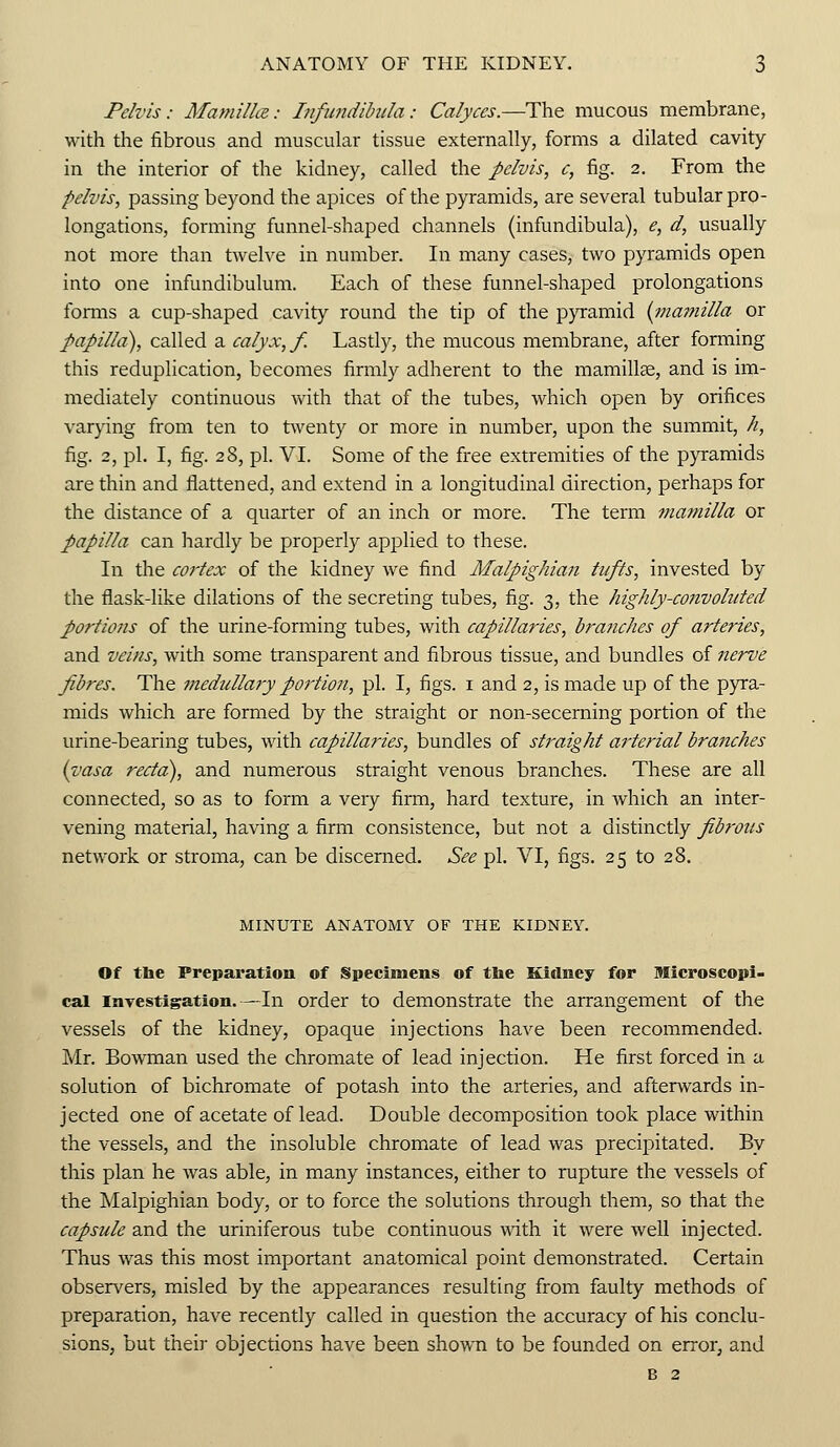 Pelvis: Mantilla: Infundibula: Calyces.—The mucous membrane, with the fibrous and muscular tissue externally, forms a dilated cavity in the interior of the kidney, called the pelvis, c, fig. 2. From the pelvis, passing beyond the apices of the pyramids, are several tubular pro- longations, forming funnel-shaped channels (infundibula), e, d, usually not more than twelve in number. In many cases, two pyramids open into one infundibulum. Each of these funnel-shaped prolongations forms a cup-shaped cavity round the tip of the pyramid (mamilla or papilla), called a calyx, f. Lastly, the mucous membrane, after forming this reduplication, becomes firmly adherent to the mamilla?, and is im- mediately continuous with that of the tubes, which open by orifices varying from ten to twenty or more in number, upon the summit, h, fig. 2, pi. I, fig. 28, pi. VI. Some of the free extremities of the pyramids are thin and flattened, and extend in a longitudinal direction, perhaps for the distance of a quarter of an inch or more. The term mamilla or papilla can hardly be properly applied to these. In the cortex of the kidney we find Malpighian tufts, invested by the flask-like dilations of the secreting tubes, fig. 3, the highly-convoluted portions of the urine-forming tubes, with capillaries, branches of arteries, and veins, with some transparent and fibrous tissue, and bundles of nerve fibres. The medullary portion, pi. I, figs. 1 and 2, is made up of the pyra- mids which are formed by the straight or non-secerning portion of the urine-bearing tubes, with capillaries, bundles of straight arterial branches (vasa recta), and numerous straight venous branches. These are all connected, so as to form a very firm, hard texture, in which an inter- vening material, having a firm consistence, but not a distinctly fibrous network or stroma, can be discerned. See pi. VI, figs. 25 to 28. MINUTE ANATOMY OF THE KIDNEY. Of the Preparation of Specimens of the Kidney for Microscopi- cal investigation.—In order to demonstrate the arrangement of the vessels of the kidney, opaque injections have been recommended. Mr. Bowman used the chromate of lead injection. He first forced in a solution of bichromate of potash into the arteries, and afterwards in- jected one of acetate of lead. Double decomposition took place within the vessels, and the insoluble chromate of lead was precipitated. By this plan he was able, in many instances, either to rupture the vessels of the Malpighian body, or to force the solutions through them, so that the capsule and the uriniferous tube continuous with it were well injected. Thus was this most important anatomical point demonstrated. Certain observers, misled by the appearances resulting from faulty methods of preparation, have recently called in question the accuracy of his conclu- sions, but their objections have been shown to be founded on error, and b 2