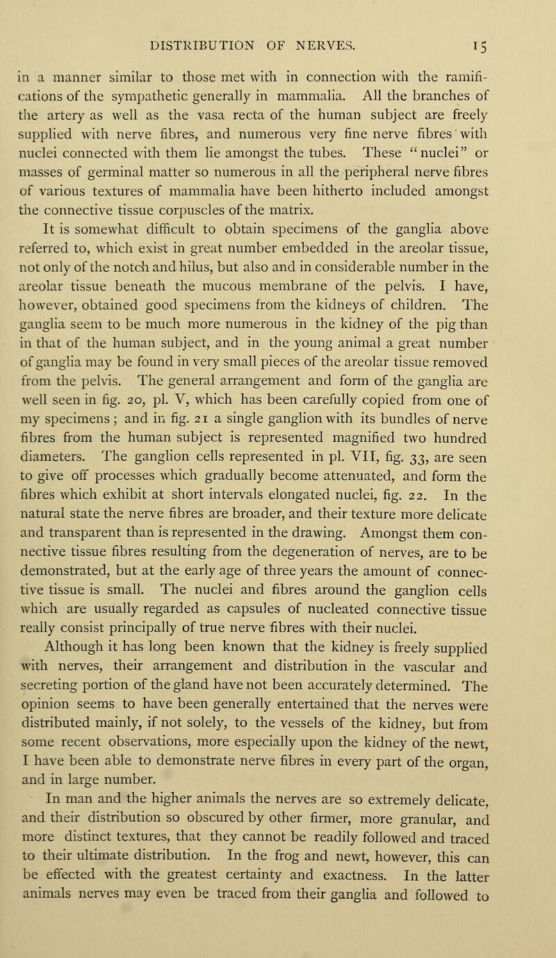 in a manner similar to those met with in connection with the ramifi- cations of the sympathetic generally in mammalia. All the branches of the artery as well as the vasa recta of the human subject are freely supplied with nerve fibres, and numerous very fine nerve fibres' with nuclei connected with them lie amongst the tubes. These nuclei or masses of germinal matter so numerous in all the peripheral nerve fibres of various textures of mammalia have been hitherto included amongst the connective tissue corpuscles of the matrix. It is somewhat difficult to obtain specimens of the ganglia above referred to, which exist in great number embedded in the areolar tissue, not only of the notch and hilus, but also and in considerable number in the areolar tissue beneath the mucous membrane of the pelvis. I have, however, obtained good specimens from the kidneys of children. The ganglia seem to be much more numerous in the kidney of the pig than in that of the human subject, and in the young animal a great number of ganglia may be found in very small pieces of the areolar tissue removed from the pelvis. The general arrangement and form of the ganglia are well seen in fig. 20, pi. V, which has been carefully copied from one of my specimens; and in fig. 21 a single ganglion with its bundles of nerve fibres from the human subject is represented magnified two hundred diameters. The ganglion cells represented in pi. VII, fig. 33, are seen to give off processes which gradually become attenuated, and form the fibres which exhibit at short intervals elongated nuclei, fig. 22. In the natural state the nerve fibres are broader, and their texture more delicate and transparent than is represented in the drawing. Amongst them con- nective tissue fibres resulting from the degeneration of nerves, are to be demonstrated, but at the early age of three years the amount of connec- tive tissue is small. The nuclei and fibres around the ganglion cells which are usually regarded as capsules of nucleated connective tissue really consist principally of true nerve fibres with their nuclei. Although it has long been known that the kidney is freely supplied with nerves, their arrangement and distribution in the vascular and secreting portion of the gland have not been accurately determined. The opinion seems to have been generally entertained that the nerves were distributed mainly, if not solely, to the vessels of the kidney, but from some recent observations, more especially upon the kidney of the newt, I have been able to demonstrate nerve fibres in every part of the organ, and in large number. In man and the higher animals the nerves are so extremely delicate, and their distribution so obscured by other firmer, more granular, and more distinct textures, that they cannot be readily followed and traced to their ultimate distribution. In the frog and newt, however, this can be effected with the greatest certainty and exactness. In the latter animals nerves may even be traced from their ganglia and followed to