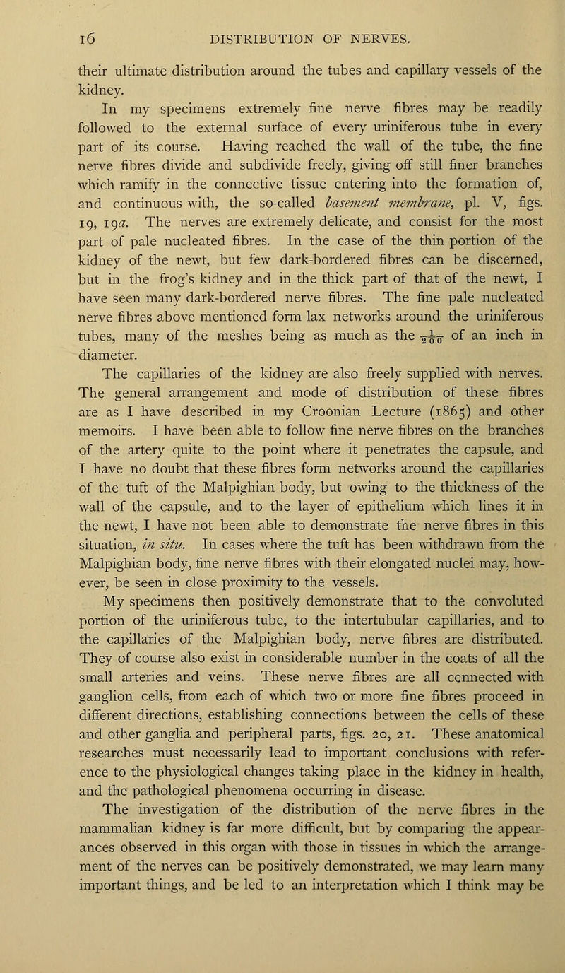 their ultimate distribution around the tubes and capillary vessels of the kidney. In my specimens extremely fine nerve fibres may be readily followed to the external surface of every uriniferous tube in every part of its course. Having reached the wall of the tube, the fine nerve fibres divide and subdivide freely, giving off still finer branches which ramify in the connective tissue entering into the formation of, and continuous with, the so-called basement membrane, pi. V, figs. 19, i9<7. The nerves are extremely delicate, and consist for the most part of pale nucleated fibres. In the case of the thin portion of the kidney of the newt, but few dark-bordered fibres can be discerned, but in the frog's kidney and in the thick part of that of the newt, I have seen many dark-bordered nerve fibres. The fine pale nucleated nerve fibres above mentioned form lax networks around the uriniferous tubes, many of the meshes being as much as the -^^ of an inch in diameter. The capillaries of the kidney are also freely supplied with nerves. The general arrangement and mode of distribution of these fibres are as I have described in my Croonian Lecture (1865) and other memoirs. I have been able to follow fine nerve fibres on the branches of the artery quite to the point where it penetrates the capsule, and I have no doubt that these fibres form networks around the capillaries of the tuft of the Malpighian body, but owing to the thickness of the wall of the capsule, and to the layer of epithelium which lines it in the newt, I have not been able to demonstrate the nerve fibres in this situation, in situ. In cases where the tuft has been withdrawn from the Malpighian body, fine nerve fibres with their elongated nuclei may, how- ever, be seen in close proximity to the vessels. My specimens then positively demonstrate that to the convoluted portion of the uriniferous tube, to the intertubular capillaries, and to the capillaries of the Malpighian body, nerve fibres are distributed. They of course also exist in considerable number in the coats of all the small arteries and veins. These nerve fibres are all connected with ganglion cells, from each of which two or more fine fibres proceed in different directions, establishing connections between the cells of these and other ganglia and peripheral parts, figs. 20, 21. These anatomical researches must necessarily lead to important conclusions with refer- ence to the physiological changes taking place in the kidney in health, and the pathological phenomena occurring in disease. The investigation of the distribution of the nerve fibres in the mammalian kidney is far more difficult, but by comparing the appear- ances observed in this organ with those in tissues in which the arrange- ment of the nerves can be positively demonstrated, we may learn many important things, and be led to an interpretation which I think may be