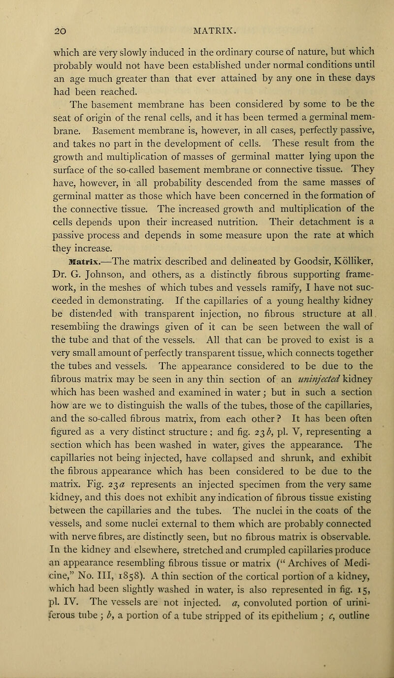 which are very slowly induced in the ordinary course of nature, but which probably would not have been established under normal conditions until an age much greater than that ever attained by any one in these days had been reached. The basement membrane has been considered by some to be the seat of origin of the renal cells, and it has been termed a germinal mem- brane. Basement membrane is, however, in all cases, perfectly passive, and takes no part in the development of cells. These result from the growth and multiplication of masses of germinal matter lying upon the surface of the so-called basement membrane or connective tissue. They have, however, in all probability descended from the same masses of germinal matter as those which have been concerned in the formation of the connective tissue. The increased growth and multiplication of the cells depends upon their increased nutrition. Their detachment is a passive process and depends in some measure upon the rate at which they increase. Matrix.—The matrix described and delineated by Goodsir, Kolliker, Dr. G. Johnson, and others, as a distinctly fibrous supporting frame- work, in the meshes of which tubes and vessels ramify, I have not suc- ceeded in demonstrating. If the capillaries of a young healthy kidney be distended with transparent injection, no fibrous structure at all. resembling the drawings given of it can be seen between the wall of the tube and that of the vessels. All that can be proved to exist is a very small amount of perfectly transparent tissue, which connects together the tubes and vessels. The appearance considered to be due to the fibrous matrix may be seen in any thin section of an uninjected kidney which has been washed and examined in water ; but in such a section how are we to distinguish the walls of the tubes, those of the capillaries, and the so-called fibrous matrix, from each other ? It has been often figured as a very distinct structure; and fig. 23^, pi. V, representing a section which has been washed in water, gives the appearance. The capillaries not being injected, have collapsed and shrunk, and exhibit the fibrous appearance which has been considered to be due to the matrix. Fig. 23a represents an injected specimen from the very same kidney, and this does not exhibit any indication of fibrous tissue existing between the capillaries and the tubes. The nuclei in the coats of the vessels, and some nuclei external to them which are probably connected with nerve fibres, are distinctly seen, but no fibrous matrix is observable. In the kidney and elsewhere, stretched and crumpled capillaries produce an appearance resembling fibrous tissue or matrix ( Archives of Medi- cine, No. Ill, 1858). A thin section of the cortical portion of a kidney, which had been slightly washed in water, is also represented in fig. 15, pi. IV. The vessels are not injected, a, convoluted portion of urini- ferous tube ; b, a portion of a tube stripped of its epithelium ; c, outline