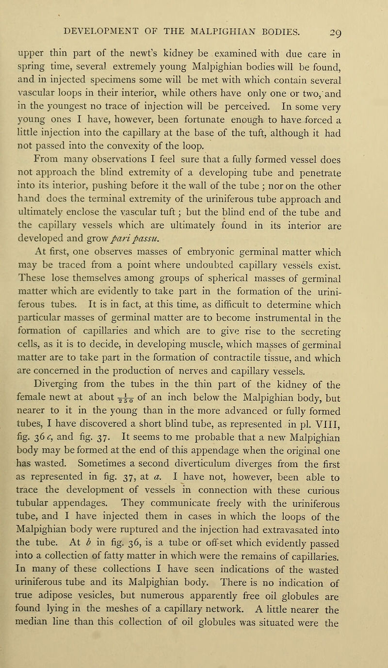 upper thin part of the newt's kidney be examined with due care in spring time, several extremely young Malpighian bodies will be found, and in injected specimens some will be met with which contain several vascular loops in their interior, while others have only one or two,'and in the youngest no trace of injection will be perceived. In some very young ones I have, however, been fortunate enough to have forced a little injection into the capillary at the base of the tuft, although it had not passed into the convexity of the loop. From many observations I feel sure that a fully formed vessel does not approach the blind extremity of a developing tube and penetrate into its interior, pushing before it the wall of the tube ; nor on the other hand does the terminal extremity of the uriniferous tube approach and ultimately enclose the vascular tuft; but the blind end of the tube and the capillary vessels which are ultimately found in its interior are developed and grow pari passu. At first, one observes masses of embryonic germinal matter which may be traced from a point where undoubted capillary vessels exist. These lose themselves among groups of spherical masses of germinal matter which are evidently to take part in the formation of the urini- ferous tubes. It is in fact, at this time, as difficult to determine which particular masses of germinal matter are to become instrumental in the formation of capillaries and which are to give rise to the secreting cells, as it is to decide, in developing muscle, which masses of germinal matter are to take part in the formation of contractile tissue, and which are concerned in the production of nerves and capillary vessels. Diverging from the tubes in the thin part of the kidney of the female newt at about -^ of an inch below the Malpighian body, but nearer to it in the young than in the more advanced or fully formed tubes, I have discovered a short blind tube, as represented in pi. VIII, fig. 36 c, and fig. 37. It seems to me probable that a new Malpighian body may be formed at the end of this appendage when the original one has wasted. Sometimes a second diverticulum diverges from the first as represented in fig. 37, at a. I have not, however, been able to trace the development of vessels in connection with these curious tubular appendages. They communicate freely with the uriniferous tube, and I have injected them in cases in which the loops of the Malpighian body were ruptured and the injection had extravasated into the tube. At b in fig. 36, is a tube or off-set which evidently passed into a collection of fatty matter in which were the remains of capillaries. In many of these collections I have seen indications of the wasted uriniferous tube and its Malpighian body. There is no indication of true adipose vesicles, but numerous apparently free oil globules are found lying in the meshes of a capillary network. A little nearer the median line than this collection of oil globules was situated were the