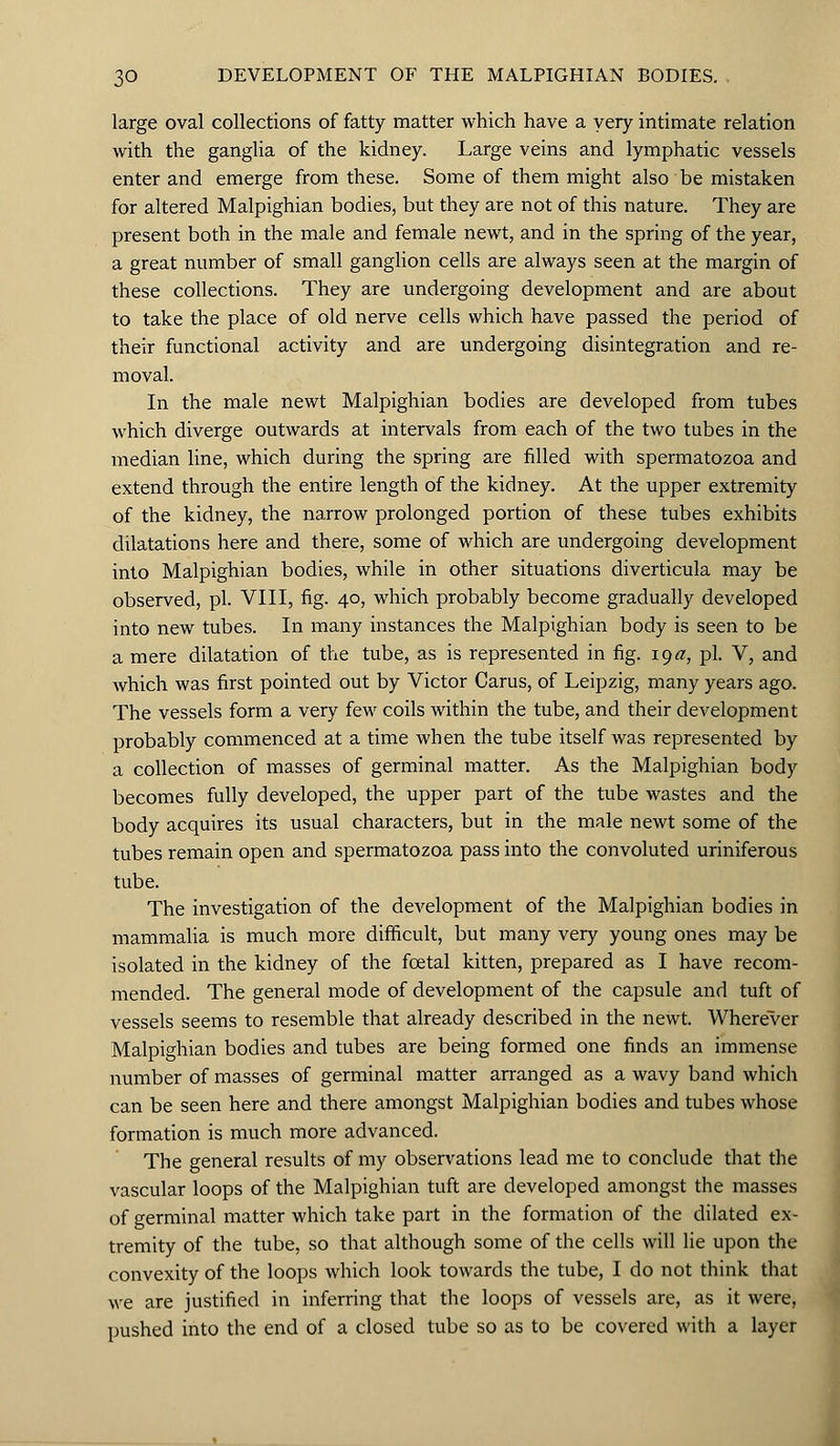 large oval collections of fatty matter which have a very intimate relation with the ganglia of the kidney. Large veins and lymphatic vessels enter and emerge from these. Some of them might also be mistaken for altered Malpighian bodies, but they are not of this nature. They are present both in the male and female newt, and in the spring of the year, a great number of small ganglion cells are always seen at the margin of these collections. They are undergoing development and are about to take the place of old nerve cells which have passed the period of their functional activity and are undergoing disintegration and re- moval. In the male newt Malpighian bodies are developed from tubes which diverge outwards at intervals from each of the two tubes in the median line, which during the spring are filled with spermatozoa and extend through the entire length of the kidney. At the upper extremity of the kidney, the narrow prolonged portion of these tubes exhibits dilatations here and there, some of which are undergoing development into Malpighian bodies, while in other situations diverticula may be observed, pi. VIII, fig. 40, which probably become gradually developed into new tubes. In many instances the Malpighian body is seen to be a mere dilatation of the tube, as is represented in fig. iQtf, pi. V, and which was first pointed out by Victor Carus, of Leipzig, many years ago. The vessels form a very few coils within the tube, and their development probably commenced at a time when the tube itself was represented by a collection of masses of germinal matter. As the Malpighian body becomes fully developed, the upper part of the tube wastes and the body acquires its usual characters, but in the male newt some of the tubes remain open and spermatozoa pass into the convoluted uriniferous tube. The investigation of the development of the Malpighian bodies in mammalia is much more difficult, but many very young ones may be isolated in the kidney of the foetal kitten, prepared as I have recom- mended. The general mode of development of the capsule and tuft of vessels seems to resemble that already described in the newt. Wherever Malpighian bodies and tubes are being formed one finds an immense number of masses of germinal matter arranged as a wavy band which can be seen here and there amongst Malpighian bodies and tubes whose formation is much more advanced. The general results of my observations lead me to conclude that the vascular loops of the Malpighian tuft are developed amongst the masses of germinal matter which take part in the formation of the dilated ex- tremity of the tube, so that although some of the cells will lie upon the convexity of the loops which look towards the tube, I do not think that we are justified in inferring that the loops of vessels are, as it were, pushed into the end of a closed tube so as to be covered with a layer
