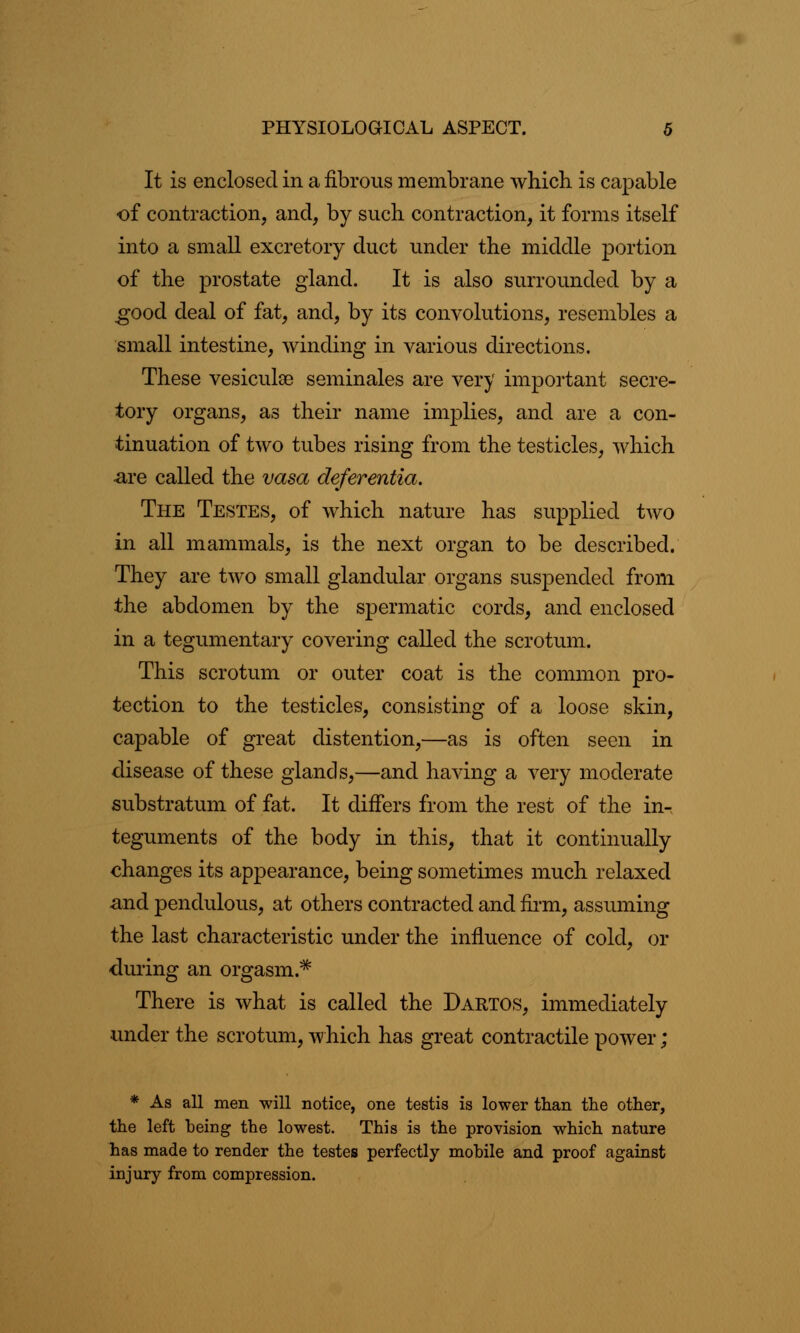 It is enclosed in a fibrous membrane which is capable of contraction, and, by such contraction, it forms itself into a small excretory duct under the middle portion of the prostate gland. It is also surrounded by a good deal of fat, and, by its convolutions, resembles a small intestine, winding in various directions. These vesiculse seminales are very important secre- tory organs, as their name implies, and are a con- tinuation of two tubes rising from the testicles, which are called the vasa deferentia. The Testes, of which nature has supplied two in all mammals, is the next organ to be described. They are two small glandular organs suspended from the abdomen by the spermatic cords, and enclosed in a tegumentary covering called the scrotum. This scrotum or outer coat is the common pro- tection to the testicles, consisting of a loose skin, capable of great distention,—as is often seen in disease of these glands,—and having a very moderate substratum of fat. It differs from the rest of the in-, teguments of the body in this, that it continually changes its appearance, being sometimes much relaxed and pendulous, at others contracted and firm, assuming the last characteristic under the influence of cold, or during an orgasm.* There is what is called the Dartos, immediately under the scrotum, which has great contractile power; * As all men will notice, one testis is lower than the other, the left being the lowest. This is the provision which nature has made to render the testes perfectly mobile and proof against injury from compression.