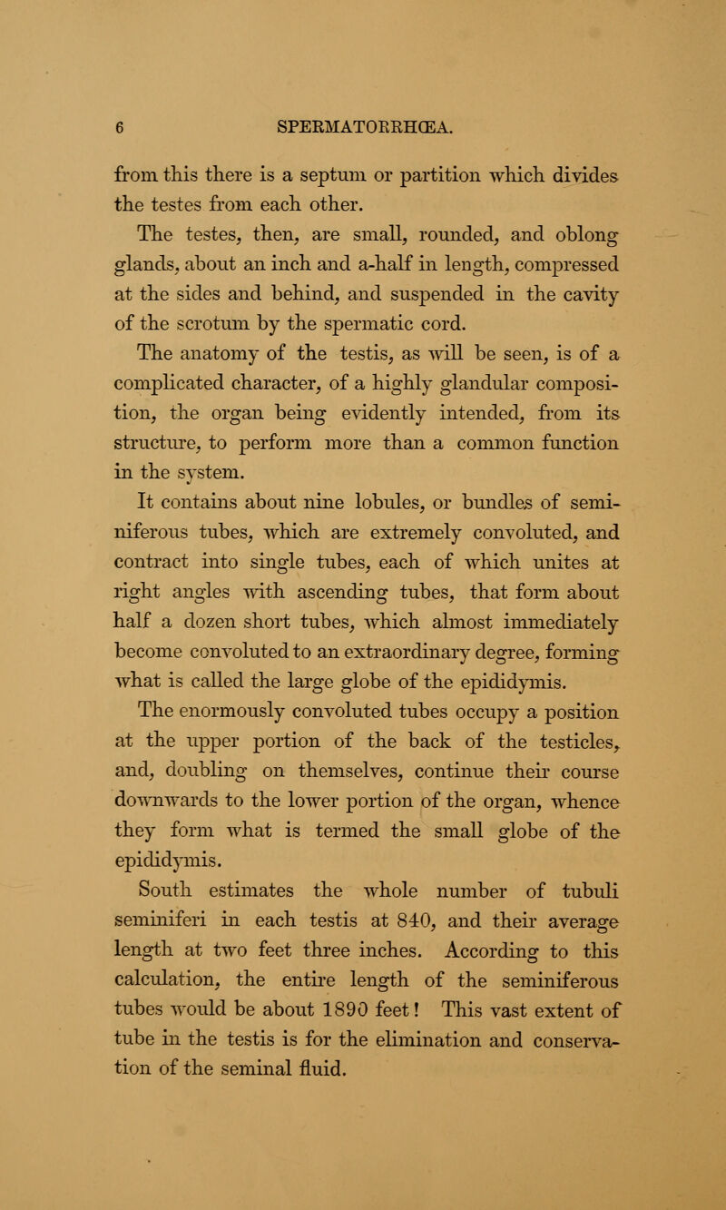from this there is a septum or partition which divides the testes from each other. The testes, then, are small, rounded, and oblong glands, about an inch and a-half in length, compressed at the sides and behind, and suspended in the cavity of the scrotum by the spermatic cord. The anatomy of the testis, as will be seen, is of a complicated character, of a highly glandular composi- tion, the organ being evidently intended, from its structure, to perform more than a common function in the system. It contains about nine lobules, or bundles of semi- niferous tubes, which are extremely convoluted, and contract into single tubes, each of which unites at right angles with ascending tubes, that form about half a dozen short tubes, which almost immediately become convoluted to an extraordinary degree, forming what is called the large globe of the epididymis. The enormously convoluted tubes occupy a position at the upper portion of the back of the testicles, and, doubling on themselves, continue their course downwards to the lower portion of the organ, whence they form what is termed the small globe of the epididymis. South estimates the whole number of tubuli seminiferi in each testis at 840, and their average length at two feet three inches. According to this calculation, the entire length of the seminiferous tubes would be about 1890 feet! This vast extent of tube in the testis is for the elimination and conserva- tion of the seminal fluid.