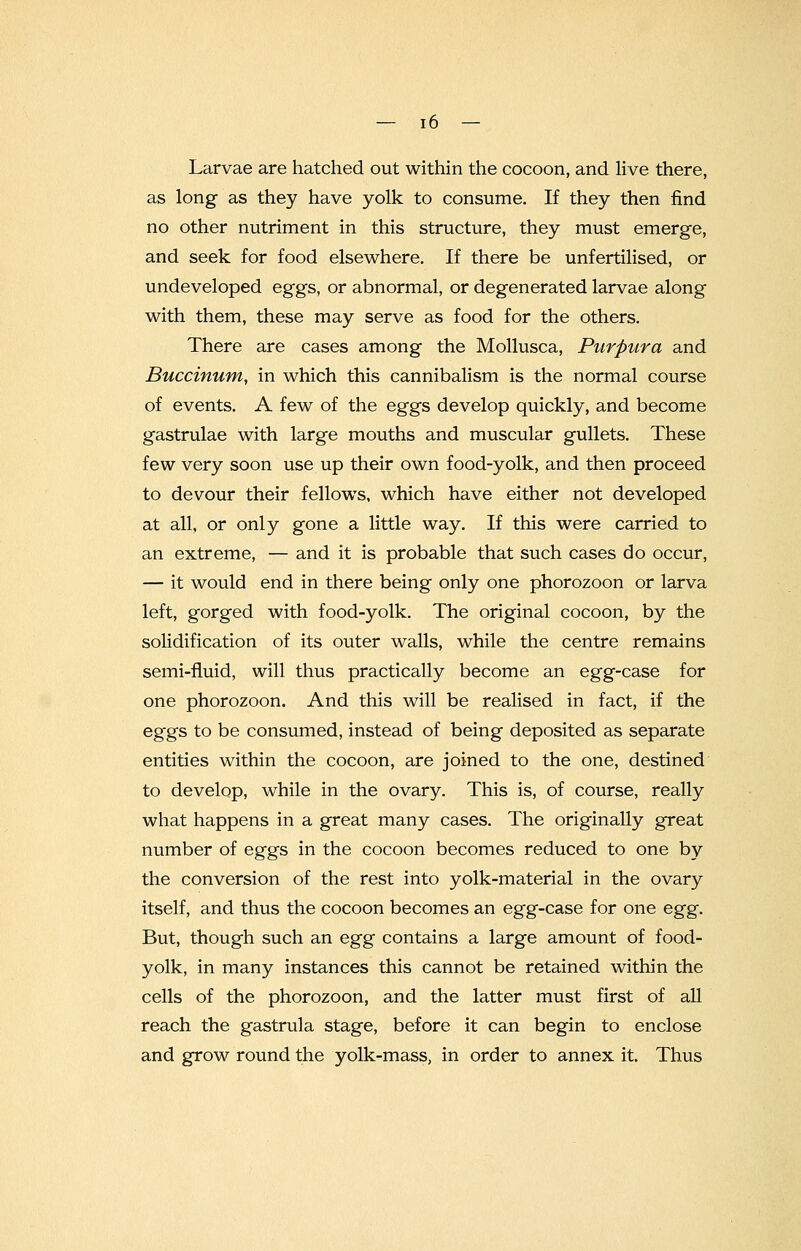 Larvae are hatched out within the cocoon, and live there, as long as they have yolk to consume. If they then find no other nutriment in this structure, they must emerge, and seek for food elsewhere. If there be unfertilised, or undeveloped eggs, or abnormal, or degenerated larvae along with them, these may serve as food for the others. There are cases among the Mollusca, Purpura and Buccinum, in which this cannibalism is the normal course of events. A few of the eggs develop quickly, and become gastrulae with large mouths and muscular gullets. These few very soon use up their own food-yolk, and then proceed to devour their fellows, which have either not developed at all, or only gone a little way. If this were carried to an extreme, — and it is probable that such cases do occur, — it would end in there being only one phorozoon or larva left, gorged with food-yolk. The original cocoon, by the solidification of its outer walls, while the centre remains semi-fluid, will thus practically become an egg-case for one phorozoon. And this will be realised in fact, if the eggs to be consumed, instead of being deposited as separate entities within the cocoon, are joined to the one, destined to develop, while in the ovary. This is, of course, really what happens in a great many cases. The originally great number of eggs in the cocoon becomes reduced to one by the conversion of the rest into yolk-material in the ovary itself, and thus the cocoon becomes an egg-case for one egg. But, though such an egg contains a large amount of food- yolk, in many instances this cannot be retained within the cells of the phorozoon, and the latter must first of all reach the gastrula stage, before it can begin to enclose and grow round the yolk-mass, in order to annex it. Thus