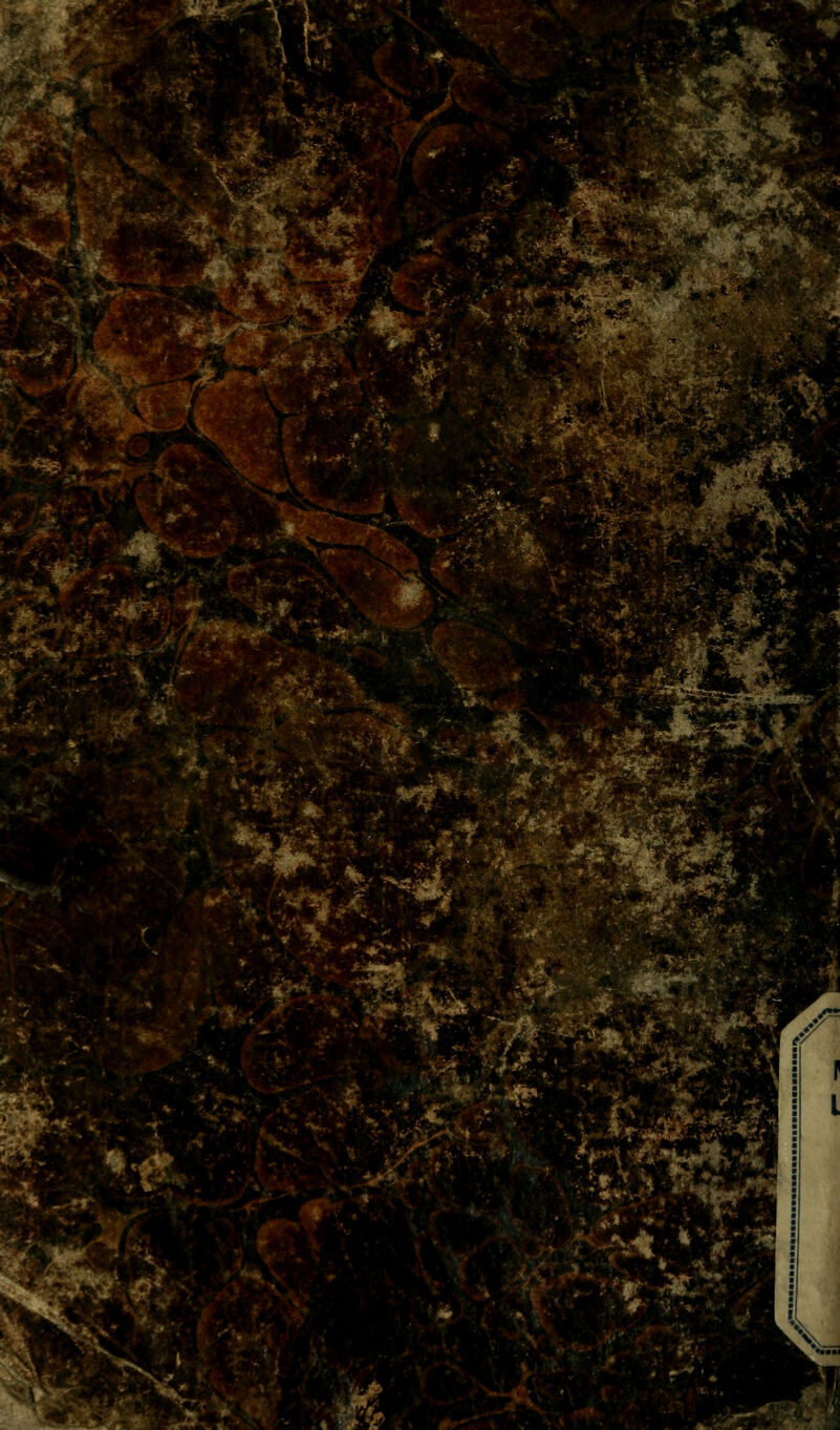 mm: i-Kfe^>aL«SSÄ> '^■^ ^jm^- :^^-