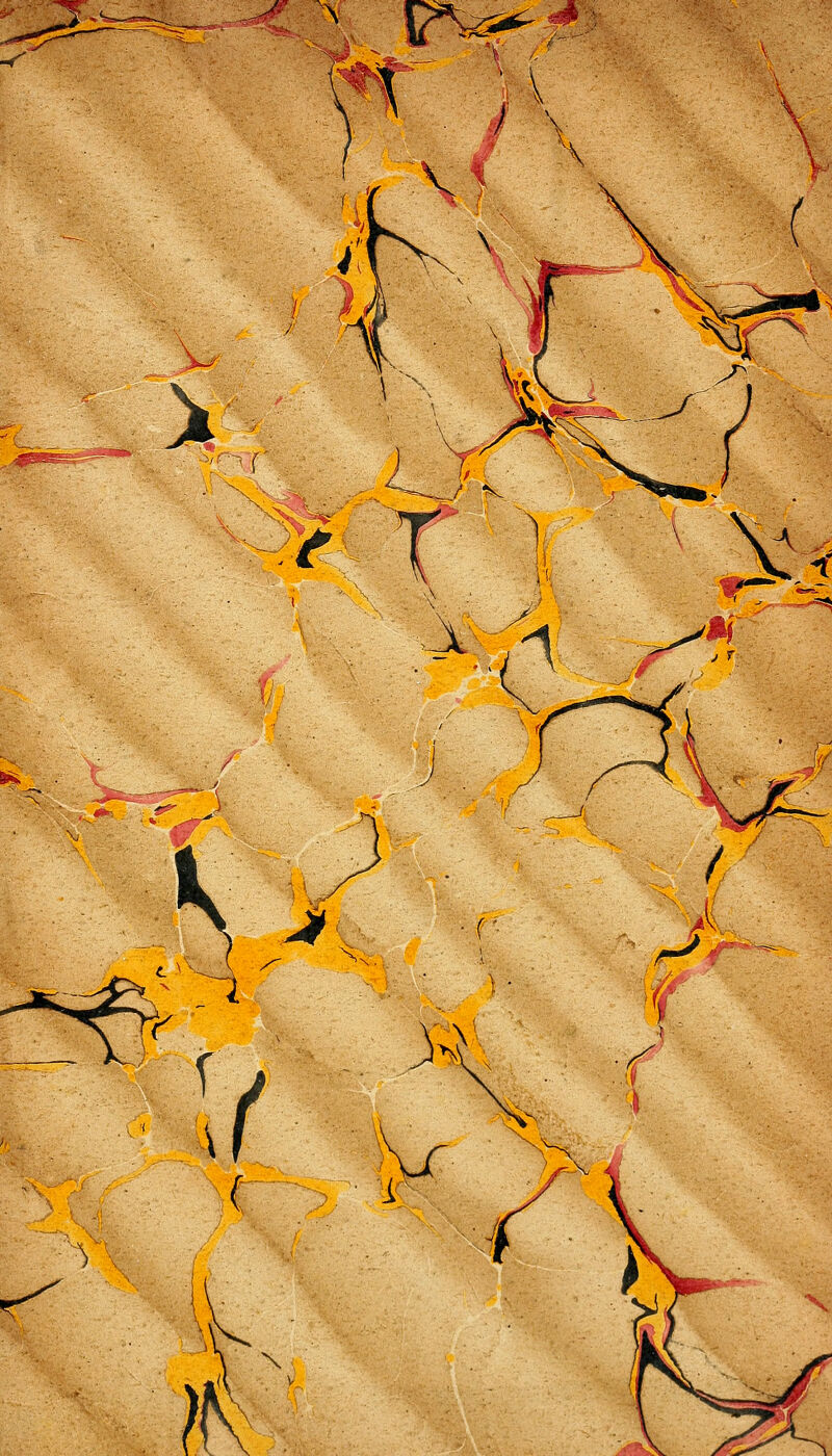 No text description is available for this image