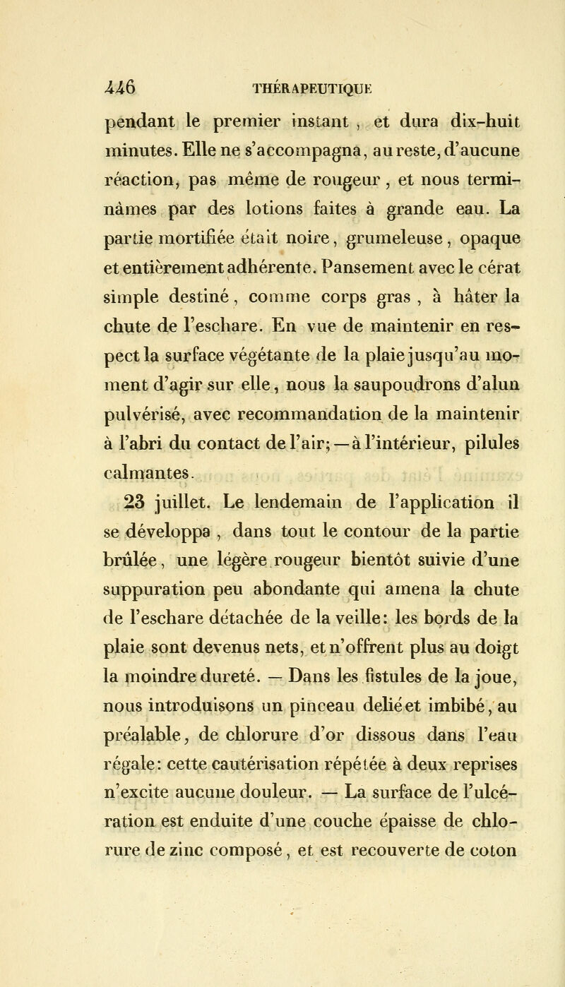 pendant le premier instant , et dura dix-huit minutes. Elle ne s'accompagna, au reste, d'aucune réaction, pas même de rougeur, et nous termi- nâmes par des lotions faites à grande eau. La partie mortifiée était noire, grumeleuse, opaque et entièrement adhérente. Pansement avec le cérat simple destiné, comme corps gras, à hâter la chute de l'eschare. En vue de maintenir en res- pect la surface végétante de la plaie jusqu'au mo- ment d'agir sur elle, nous la saupoudrons d'alun pulvérisé, avec recommandation de la maintenir à l'abri du contact de l'air; —à l'intérieur, pilules calmantes. 23 juillet. Le lendemain de l'application il se développa , dans tout le contour de la partie brûlée, une légère rougeur bientôt suivie d'une suppuration peu abondante qui amena la chute de l'eschare détachée de la veille: les bords de la plaie sont devenus nets, et n'offrent plus au doigt la moindre dureté. — Dans les fistules de la joue, nous introduisons un pinceau délié et imbibé, au préalable, de chlorure d'or dissous dans l'eau régale: cette cautérisation répétée à deux reprises n'excite aucune douleur. — La surface de l'ulcé- ration est enduite d'une couche épaisse de chlo- rure de zinc composé, et est recouverte de coton