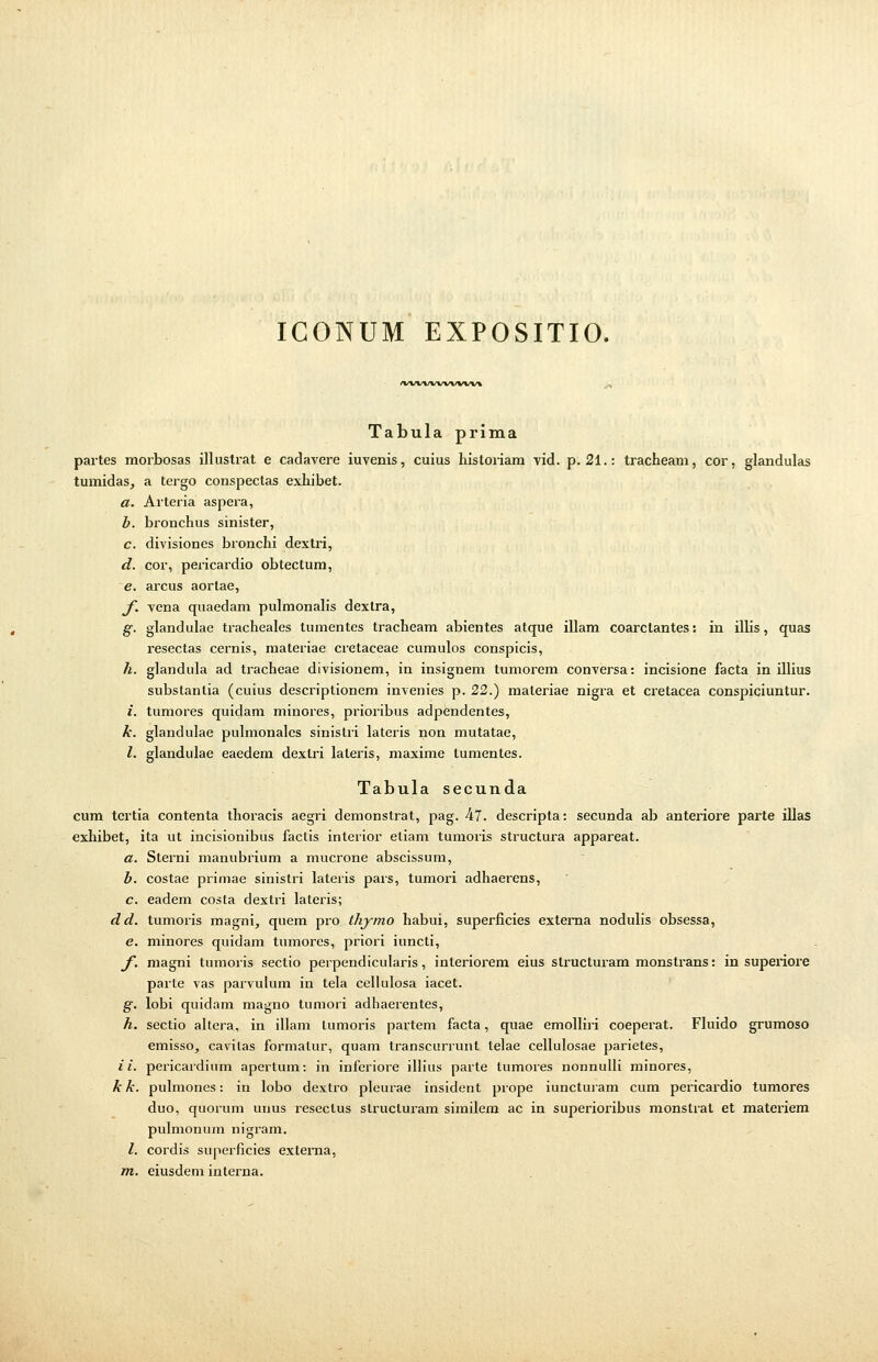 IGONUM EXPOSITIO. /VWt/WVA/vw% Tabula prima partes morbosas illustrat e cadavere iuvenis, cuius historiam vid. p. 21.: tracheam, cor, glandulas tumidas, a tergo conspectas exhibet. a. Arteria aspera, b. bronchus sinister, c. divisiones bronchi dextri, d. cor, pericardio obtectum, e. arcus aortae, f vena quaedam pulmonalis dextra, g. glandulae tracheales tumentes tracheam abientes atque illam coarctantes: in illis, quas resectas cernis, materiae cretaceae cumulos conspicis, h. glandula ad tracheae divisionem, in insignem tumorem conversa: incisione facta in illius substanlia (cuius descriptionem invenies p. 22.) materiae nigra et cretacea conspiciuntur. i. tumores quidam minores, prioribus adpendentes, k. glandulae pulmonales sinistri lateris non mutatae, l. glandulae eaedem dextri laleris, maxime lumentes. Tabula secunda cum tcrtia contenta thoracis aegri demonslrat, pag. 47. descripta: secunda ab anteriore parte illas exhibet, ita ut incisionibus factis interior eliam tumoris structura appareat. a. Sterni manubrium a mucrone abscissum, b. costae primae sinistri lateris pars, tumori adhaerens, c. eadem costa dextri lateris; dd. tumoris magni, quem pro thymo habui, superficies externa nodulis obsessa, e. minores quidam tumores, priori iuncti, f magni tumoris sectio perpendicularis, interiorem eius slructuram monstrans: in superiore parte vas parvulum in tela cellulosa iacet. g. lobi quidam magno tumori adhaerentes, h. sectio altera, in illam lumoris partem facta, quae emolliri coeperat. Fluido grumoso emisso, cavilas formatur, quam transcurrunt telae cellulosae parietes, ii. pericardium apertum: in inferiore illius parte tumores nonnulli minores, k k. pulmones: in lobo dextro pleurae insident prope iuncturam cum pericardio tumores duo, quorum unus reseclus structuram similem ac in superioribus monstrat et materiem pulmonum nigram. I. cordis superficies externa, m. eiusdem interna.