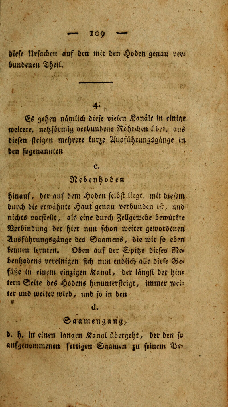 biefe ttrfacfien auf ben mit ben *§oben <jennu vm fcunbenen tyeil. (Ei ge§en näntftcfj tiefe vtefett Kanäle in einige Wettere, ne^formig uerbunbenc £R6f)rd)en Ö6er, au* tiefen fleigcn mehrere fur$e ^usfu^iungegcmge in, ben fogenannten c. D?e&en!jobeB hinauf, ber auf bem «£oben fcl&jt Iie0t> mit liefern fcurd) bie erwähnte Jpaut'genau wr&unben r£> imb tuefet* vorfreüt, all eine burd) 3ettgewe&e oewürfae SJerbinbung ber fyier nun fd>on weiter geworbenen 3fu$fä$rungäa,dngc be$ ^aamenS, bie wir fo eben fenneu (ernten. Ö6en auf ber ppit$e biefetf die» benfyobtnä vereinigen ft'cf) nun eno(ttf> alle biefe OJe* fdOe in eimm einzigen ^anat, ber (ängft ber fjin« ter» &eite be$ Jpobens fytnunterffeigt, immer wei* ter unö weiter wirb, unb fo in ben a. ©anmengaria;,, fc. f). in einen fangen .^anal üfcergetjt, ber ben fo aufgenommenen fertigen ^aamen |u feinem ^s=