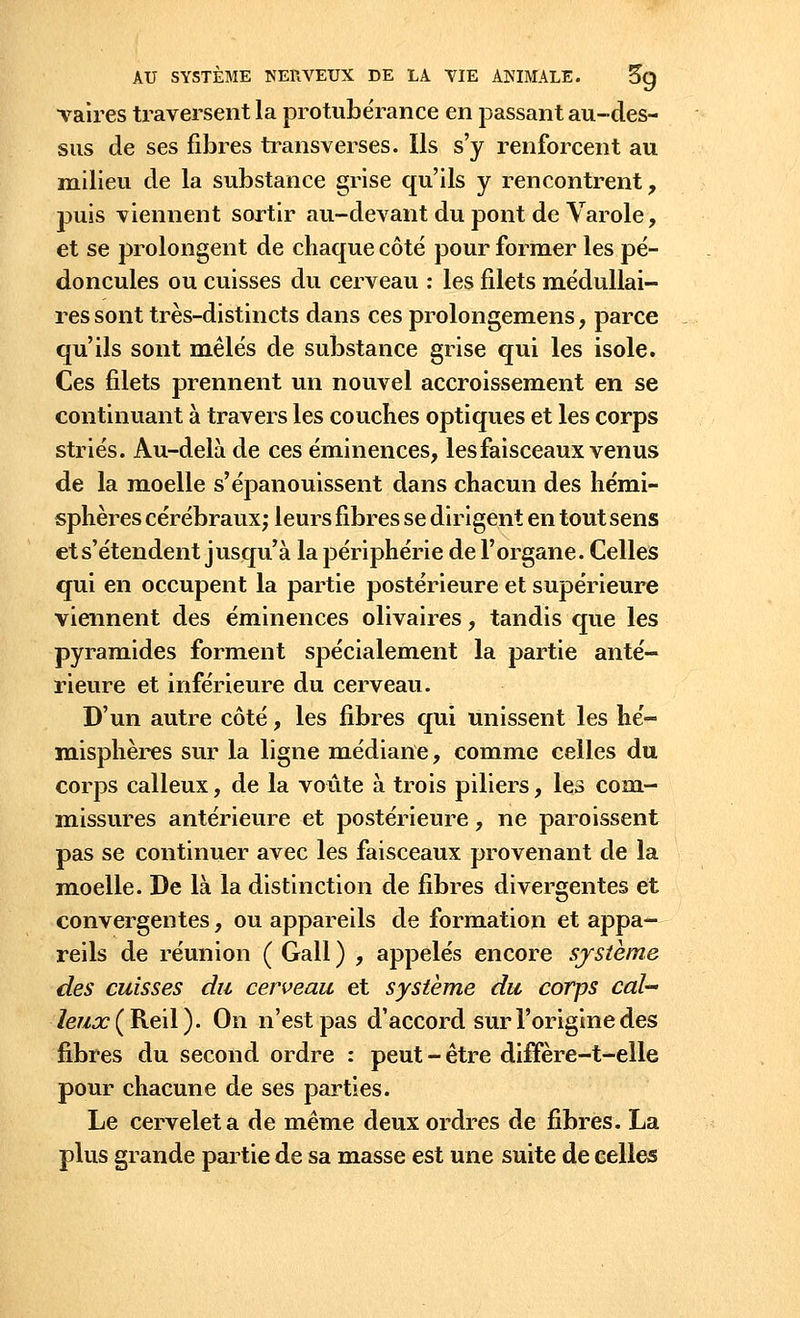 vaires traversent la protubérance en passant au-des- sus de ses fibres transverses. Ils s'y renforcent au milieu de la substance grise qu'ils y rencontrent, j3uis viennent sortir au-devant du pont de Varole, et se prolongent de chaque côté pour former les pé- doncules ou cuisses du cerveau : les filets médullai- res sont très-distincts dans ces prolongemens, parce qu'ils sont mêlés de substance grise qui les isole. Ces filets prennent un nouvel accroissement en se continuant à travers les couches optiques et les corps striés. Au-delà de ces éminences, les faisceaux venus de la moelle s'épanouissent dans chacun des hémi- sphères cérébraux; leurs fibres se dirigent en tout sens et s'étendent jusqu'à la périphérie de l'organe. Celles qui en occupent la partie postérieure et supérieure viennent des éminences olivaires, tandis que les pyramides forment spécialement la partie anté- rieure et inférieure du cerveau. D'un autre côté, les fibres qui unissent les hé- misphères sur la ligne médiane, comme celles du corps calleux, de la voûte à trois piliers, les com- missures antérieure et postérieure, ne paraissent pas se continuer avec les faisceaux provenant de la moelle. De là la distinction de fibres divergentes et convergentes, ou appareils de formation et appa- reils de réunion ( Gall ) , appelés encore système des cuisses du cerveau et système du corps cal- leux (Reil). On n'est pas d'accord sur l'origine des fibres du second ordre : peut - être difïère-t-elle pour chacune de ses parties. Le cervelet a de même deux ordres de fibres. La plus grande partie de sa masse est une suite de celles