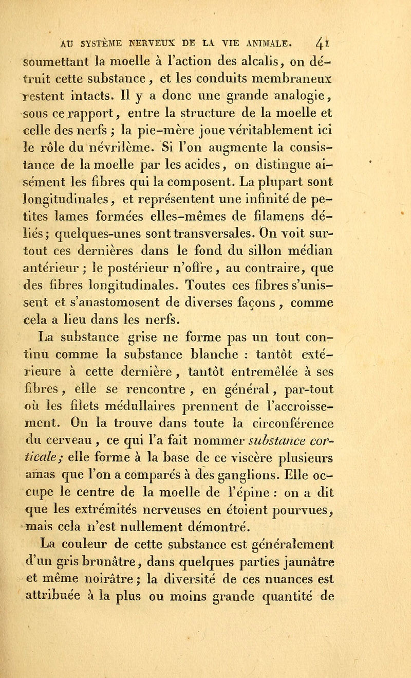 soumettant la moelle à l'action des alcalis, on dé- truit cette substance , et les conduits membraneux Testent intacts. H y a donc une grande analogie, sous ce rapport, entre la structure de la moelle et celle des nerfs ; la pie-mère joue véritablement ici le rôle du névrilème. Si l'on augmente la consis- tance de la moelle par les acides, on distingue ai- sément les fibres qui la composent. La plupart sont longitudinales, et représentent une infinité de pe- tites lames formées elles-mêmes de filamens dé- liés; quelques-unes sont transversales. On voit sur- tout ces dernières dans le fond du sillon médian antérieur; le postérieur n'offre, au contraire, que des fibres longitudinales. Toutes ces fibres s'unis- sent et s'anastomosent de diverses façons , comme cela a lieu dans les nerfs. La substance grise ne forme pas un tout con- tinu comme la substance blanche : tantôt exté- rieure à cette dernière , tantôt entremêlée à ses fibres, elle se rencontre , en général, par-tout où les filets médullaires prennent de l'accroisse- ment. On la trouve dans toute la circonférence du cerveau , ce qui l'a fait nommer substance cor- ticale; elle forme à la base de ce viscère plusieurs amas que l'on a comparés à des ganglions. Elle oc- cupe le centre de la moelle de l'épine : on a dit que les extrémités nerveuses en étoient pourvues, mais cela n'est nullement démontré. La couleur de cette substance est généralement d'un gris brunâtre, dans quelques parties jaunâtre et même noirâtre ; la diversité de ces nuances est attribuée à la plus ou moins grande quantité de