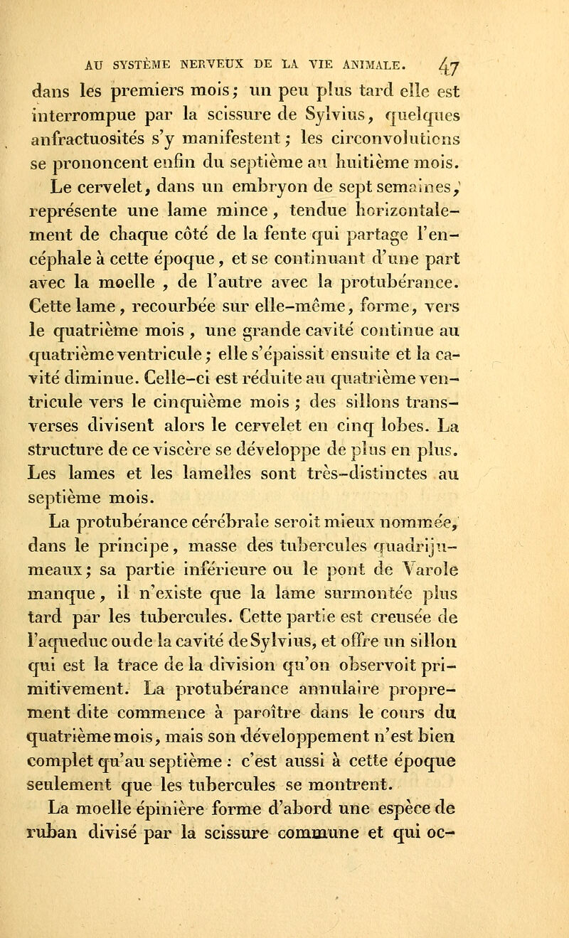 dans les premiers mois; un peu plus tard elle est interrompue par la scissure de Sylvius, quelques anfractuosités s'y manifestent ; les circonvolutions se prononcent enfin du septième au huitième mois. Le cervelet, dans un embryon de sept sema.ines, représente une lame mince, tendue horizontale- ment de chaque côté de la fente qui partage l'en- céphale à cette époque, et se continuant d'une part avec la moelle , de l'autre avec la protubérance. Cette lame, recourbée sur elle-même, forme, vers le quatrième mois , une grande cavité continue au quatrième ventricule; elle s'épaissit ensuite et la ca- vité diminue. Celle-ci est réduite au quatrième ven- tricule vers le cinquième mois ; des sillons trans- verses divisent alors le cervelet en cinq lobes. La structure de ce viscère se développe de plus en plus. Les lames et les lamelles sont très-distinctes au septième mois. La protubérance cérébrale seroit mieux nommée, dans le principe, masse des tubercules quadriju- meaux; sa partie inférieure ou le pont de Varole manque, il n'existe que la lame surmontée plus tard par les tubercules. Cette partie est creusée de l'aqueduc oude la cavité deSylvius, et offre un sillon qui est la trace de la division qu'on observoit pri- mitivement. La protubérance annulaire propre- ment dite commence à paroître dans le cours du quatrième mois, mais son -développement n'est bien complet qu'au septième : c'est aussi à cette époque seulement que les tubercules se montrent. La moelle épinière forme d'abord une espèce de ruban divisé par la scissure commune et qui oc-