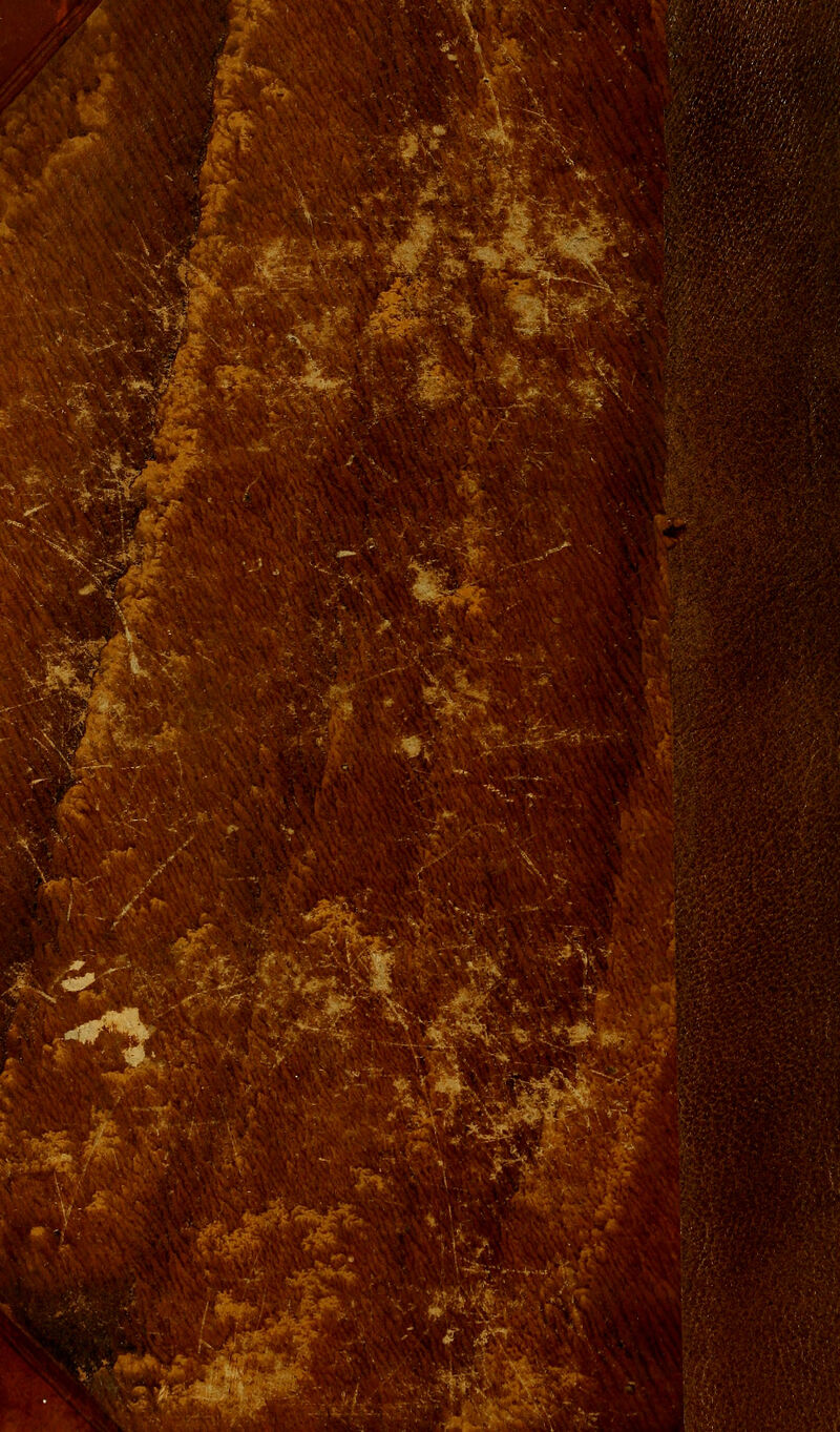 ikças 'î j.''-CN'* A. ^v*-i -M^^