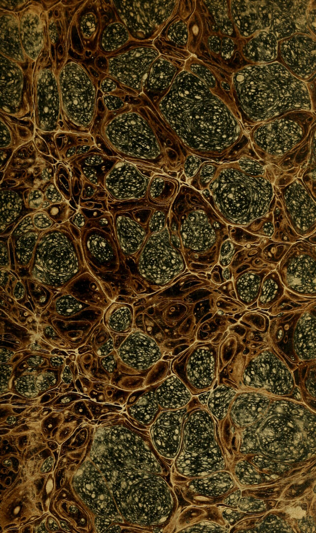 No text description is available for this image