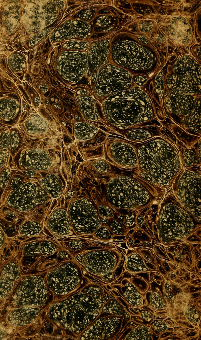 EI ?«i .\.-Ä- -* -X ,:%'m^