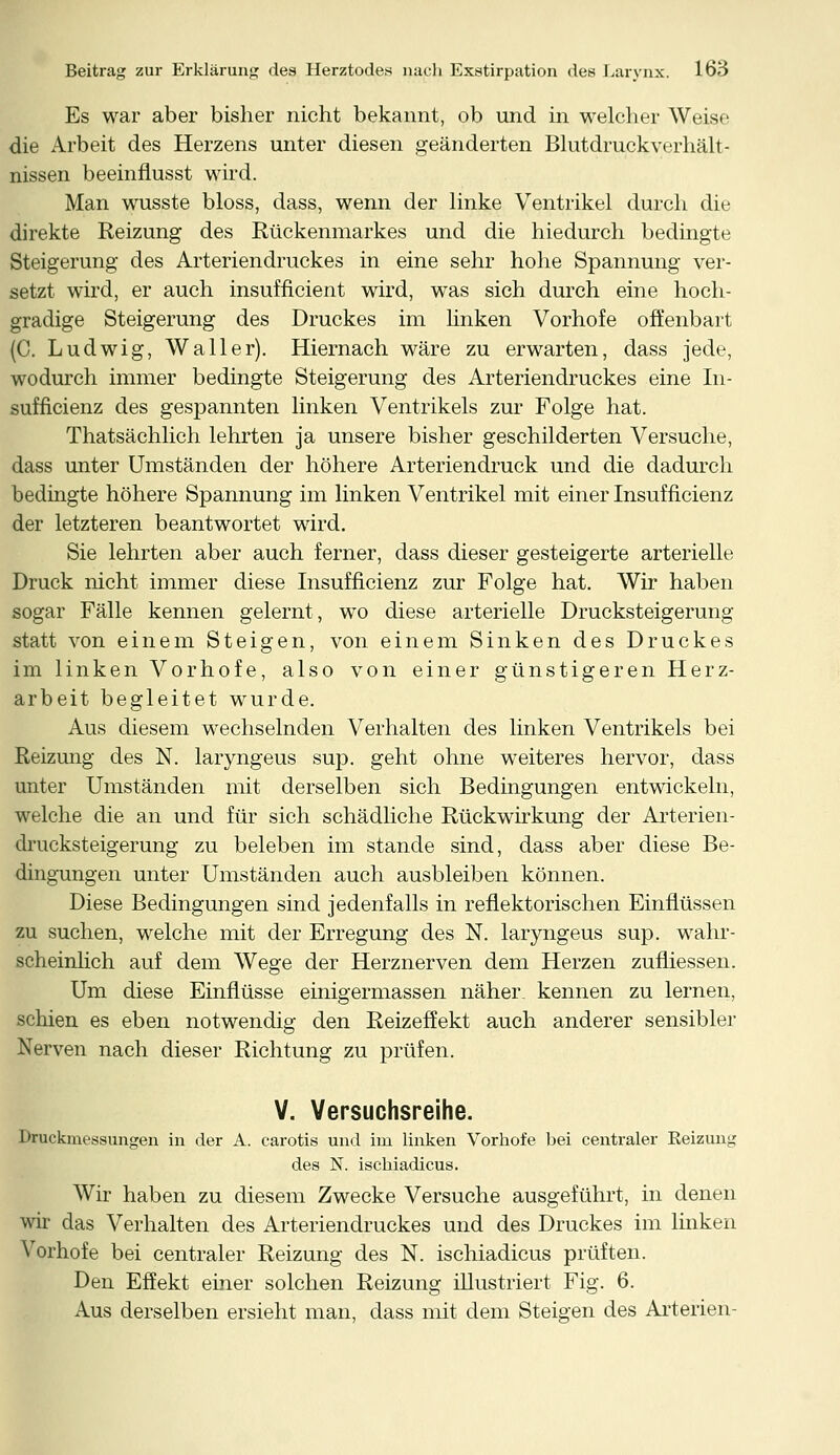 Es war aber bisher nicht bekannt, ob und in welcher Weise die Arbeit des Herzens unter diesen geänderten Blutdruckverhält- nissen beeinflusst wird. Man wusste bloss, dass, wenn der linke Ventrikel durch die direkte Reizung des Rückenmarkes und die hiedurch bedingte Steigerung des Arteriendruckes in eine sehr hohe Spannung ver- setzt wird, er auch insufficient wird, was sich durch eine hoch- gradige Steigerung des Druckes im linken Vorhofe offenbart (C. Ludwig, Waller). Hiernach wäre zu erwarten, dass jede, wodurch immer bedingte Steigerung des Arteriendruckes eine In- sufficienz des gespannten linken Ventrikels zur Folge hat. Thatsächlich lehrten ja unsere bisher geschilderten Versuche, dass unter Umständen der höhere Arteriendruck und die dadurch bedingte höhere Spannung im linken Ventrikel mit einer Insufficienz der letzteren beantwortet wird. Sie lehrten aber auch ferner, dass dieser gesteigerte arterielle Druck nicht immer diese Insufficienz zur Folge hat. Wir haben sogar Fälle kennen gelernt, wo diese arterielle Drucksteigerung statt von einem Steigen, von einem Sinken des Druckes im linken Vorhofe, also von einer günstigeren Herz- arbeit begleitet wurde. Aus diesem wechselnden Verhalten des linken Ventrikels bei Reizung des N. laryngeus sup. geht ohne weiteres hervor, dass unter Umständen mit derselben sich Bedingungen entwickeln, welche die an und für sich schädliche Rückwirkung der Arterien- drucksteigerung zu beleben im stände sind, dass aber diese Be- dingungen unter Umständen auch ausbleiben können. Diese Bedingungen sind jedenfalls in reflektorischen Einflüssen zu suchen, welche mit der Erregung des N. laryngeus sup. wahr- scheinlich auf dem Wege der Herznerven dem Herzen zufliessen. Um diese Einflüsse einigermassen näher, kennen zu lernen, schien es eben notwendig den Reizeffekt auch anderer sensibler Nerven nach dieser Richtung zu prüfen. V. Versuchsreihe. Druckmessungen in der A. carotis und im linken Vorhofe bei centraler Reizung des N. ischiadicus. Wir haben zu diesem Zwecke Versuche ausgeführt, in denen wir das Verhalten des Arteriendruckes und des Druckes im linken Vorhofe bei centraler Reizung des N. ischiadicus prüften. Den Effekt einer solchen Reizung illustriert Fig. 6. Aus derselben ersieht man, dass mit dem Steigen des Arterien-