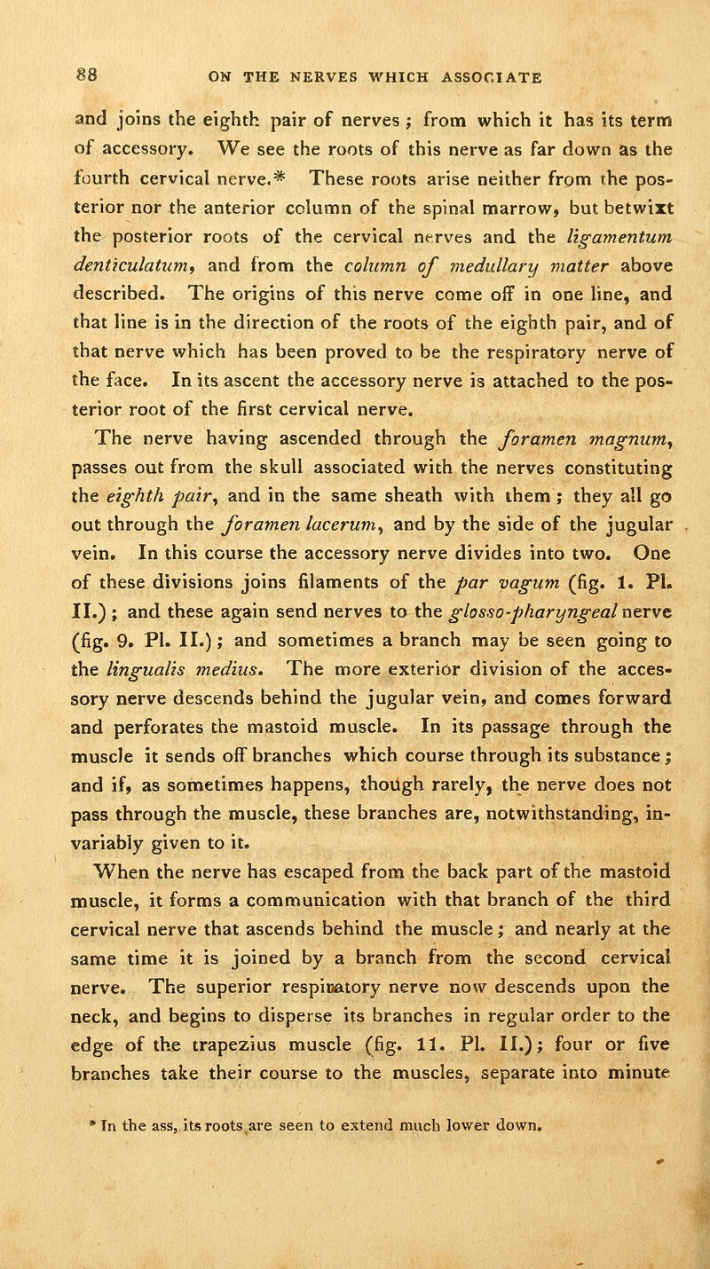 and joins the eighth pair of nerves ; from which it has its term of accessory. We see the roots of this nerve as far down as the fourth cervical nerve.* These roots arise neither from the pos- terior nor the anterior column of the spinal marrow, but betwixt the posterior roots of the cervical nerves and the ligamentum denticulatum^ and from the column of medullary matter above described. The origins of this nerve come oft in one line, and that line is in the direction of the roots of the eighth pair, and of that nerve which has been proved to be the respiratory nerve of the face. In its ascent the accessory nerve is attached to the pos- terior root of the first cervical nerve. The nerve having ascended through the foramen magnum^ passes out from the skull associated with the nerves constituting the eighth pair^ and in the same sheath with them; they all go out through the foramen lacerum, and by the side of the jugular vein. In this course the accessory nerve divides into two. One of these divisions joins filaments of the par vagum (fig. 1. PL II.) ; and these again send nerves to the ghsso-pharyngeal nerve (fig. 9. PI. 11.); and sometimes a branch may be seen going to the lingualis medius. The more exterior division of the acces- sory nerve descends behind the jugular vein, and comes forward and perforates the mastoid muscle. In its passage through the muscle it sends off branches which course through its substance; and if, as sometimes happens, thoUgh rarely, the nerve does not pass through the muscle, these branches are, notwithstanding, in- variably given to it. When the nerve has escaped from the back part of the mastoid muscle, it forms a communication with that branch of the third cervical nerve that ascends behind the muscle; and nearly at the same time it is joined by a branch from the second cervical nerve. The superior respiuatory nerve now descends upon the neck, and begins to disperse its branches in regular order to the edge of the trapezius muscle (fig. 11. PI. II.); four or five branches take their course to the muscles, separate into minute * In the ass,, its roots,are seen to extend much lower down.