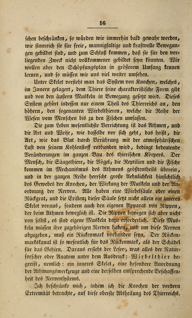 fcfyen befcfyranfen, fo mürben n>ir immerhin balb gett>af)r werben, wie jtmtmcfj (Te für freie, mannigfaltige unb fraftsotfe Sßewegun* gen gebtfbet jmb, unb jum ©rfjfaß fommen, ba$ ffe für bett fcor* liegenben 3^erf nicfyt Dotffommener gebttbet fe*m könnten* 9ßöir wotfen aber bett ©djapftmgäpfatt m größerem Umfang fennen lernen , unb fo muffen wir unS ötcl Wetter umfefyen. Unter ©feiet fcerfieljt man ba$> ®i)ftem Don $nod)en, welcfyeS, im Snnent gelagert, bem %fyim feine djarafteriftifcfye gorm gibt unb i)oit ben ändern 9Cftu6feIn in Bewegung gefegt wirb» 2)tefe$ ©Dftem gehört inbeffen nur einem %beil be£ £fyierreid)£ an, t>en fyöfyew, ben fogenanten 28irbettl)ierett, tvetfye bte D^eifye ber 2Befen fcom 5^enfrf)en bi6 $u ben gifcfyen umfaffem Sie $um Zehen wefentttcfyfle Verrichtung ifl ba$ Sltfjmen, unb t)te 2(rt nnb SOöeife, n>ie baffelbe »or ffd) gefyt, bau beißt, bte 2frt, tvie ba$ Zßtut burd) 23erüf)rung mit ber atmofpfyärifdjen £uft üon feinem Äofyfenptoff entbnnben wirb, bebingt bebeutenbe SSeränberungen im ganzen 23au be£ tfyierifdjen $örper$. Ser 9#enfd), bte ©ängetfyiere, bie 23ögel, hie Sftepttftett unb bie gifdje fommen im 2D?ed)atti6muS be$ Sttfymenö grögtentfyeifö überein, unb in ber ganzen 9?eif)e fyerrfcfyt große 2fef)nu'd)feit fyinjTdjtfid) beS ©emebe^ ber ^nocfyen, ber 2Bivfttng ber ^nSfeln unb ber %n* orbnnng ber Heroen» Wlt baten eine SOBirbelfättle ober einen •iftücfgrat, unb bie (£rtften$ biefer (Bank fefct nidjt aiiein ein innere^ <BMet öorattS, fonbern and) ben eigenen Apparat tton Dfrppen, ber beim %t\)\nen bemegticf) ifc Sie Wi^en bewegen jTcf) aber nid)t von fetbft, e6 (Tnb eigene Wltöteln bajtt erforberHtf). Siefe Wlnt* fein muffen ifyre ungehörigen Heroen baben, unb nm biefe Heroen abzugeben, mnß ein Dft'tcfenmatf fcorfyanben fei;n. Ser Dftttfett* marf^fanat ift fo wefentfid) für ba$ D^ücfenmarf, aB ber ©d)dbel für baö ©efjt'rn. £)arau3 erfiefyt ber £efer, h)a& afle$ ber Diatnr* forfd)cr ober Sdtatom nnter bem 3to$brucf: 20 i r b e 11 b i e r be* greift, uemfid): ein innere^ (Btekt, eine befonbere SHitorbmma, ber Sitbmitngßmerficuge unb eine bevfelben entfpredjenbe SSefc^ajfcn? bett bc$ 5fterttcnf9ftem$. 3rf) bcfrfjränfe mirf), inbem icf) bie Ättoc^cn ber ttorbern örtremttät betrachte, auf biefe oberfle 5(bt()ethtng bc^ X()terreicf)^»