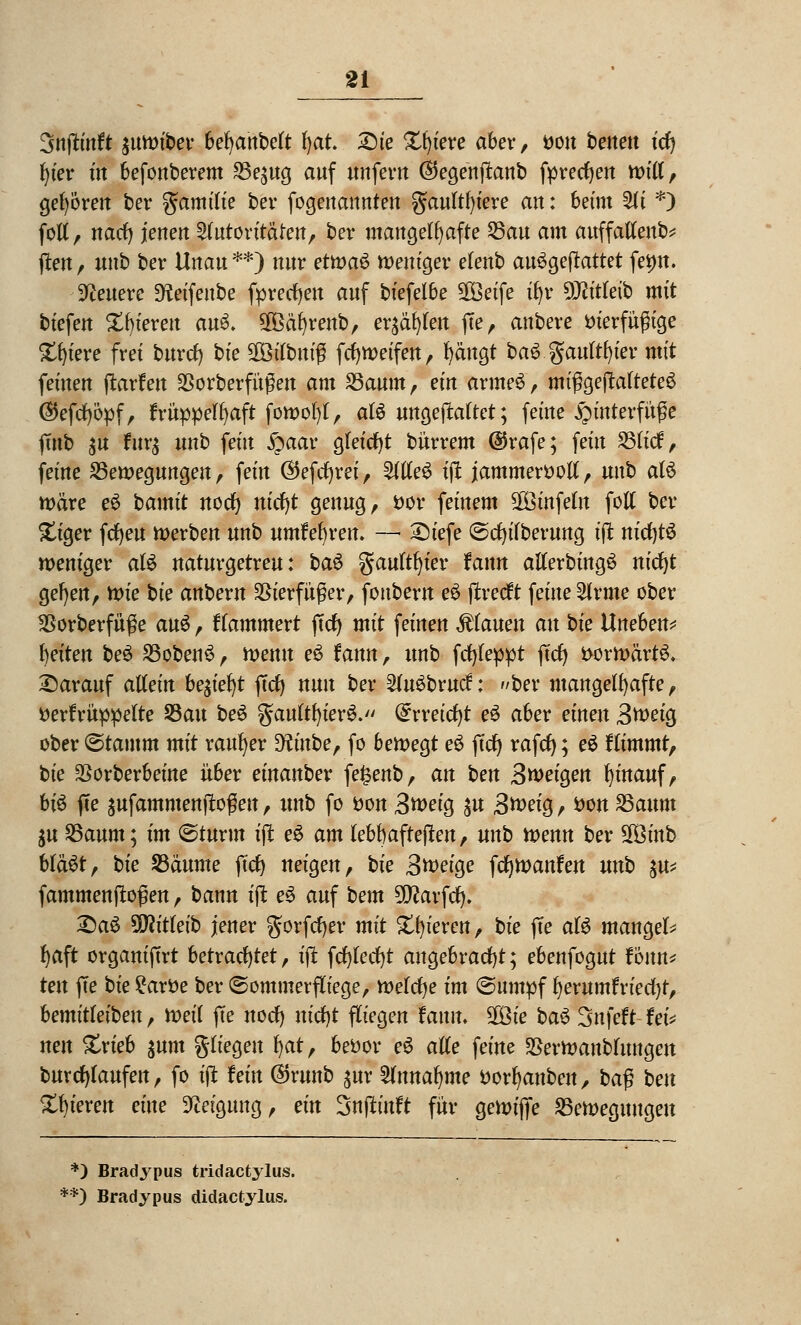 3njfrnft ätM>tbev 6e^anbeft f)at. Sie Xfyiere aber, von betten t'cf) fyier üt befonberem Be$ug auf unfern ©egenflanb fprecfyen will, gehören ber gamifie ber fogenaunten gaultfyiere an: beim 21 i *) fott, naef) jenen Autoritäten, ber mangelhafte Bau am auffaltend ften, unb ber Unau **) nur etn>a$ weniger elenb aufgewartet femt. teuere SÄeifenbe fprecfyen auf biefelbe 28eife ifyr Wlitkib mit biefen £biereu auS- 2Bäf)renb, ersten fte, anbere tnerfüßige Spiere frei buret) bie 2öilbniß fcfyweifen, fyängt baS gaufrier mit feinen ftarfen SBorberfüßen am Baum, ein armeS, mifgeftatteteS ©efcfyöpf, ftmppeffyaft fowofyt, alä ungejMtet; ferne Hinterfüße fTitb su fur$ unb fein §aar gleicht bürrem ©rafe; fein Bticf, feine Bewegungen, fein ©efc^rei, AtleS iffc jammervoll, unb als wäre eö bamit nocl) nicf)t genug, vor feinem Sföinfeln foll ber- giger fcfyeu werben unb umfefjrett. —■ £)iefe ©cfyifberung ift m'cfytS weniger aU naturgetreu: bau gauftfyier fann alterbingö nicfyt gef)en, xok bk anbern Vierfüßer, fonbern e£ jtreeft feine Arme ober SSorberfüße auü, flammert jTcl) mit feinen flauen an bk Uneben* Reiten be$ BobenS, wenn e$ fann, unb fctjfeppt ftcr) vorwärts« darauf allein be$iel)t ftcf> nun ber Aufbruch '/ber mangelhafte, verkrüppelte Bau beS gauttfyierS. (£rreicr)t e£ aber einen 3weig ober ©tamm mit rauher diinbe, fo bewegt e$ fccf> rafet); e$ Himmr, bte SSorberbeine über einanber fe^enb, an ben Steigen t)inauf, biü fTe sufammenftoßen, unb fo von 3*veig $u 3*veig, von Baum $u Baum; im ©türm iffc e$ am tebbafteften, unb wenn ber SOBinb bläst, bk Bäume fiel) neigen, bfe Steige fcfywanfen unb $u* fammenftoßen, bann tflt e3 auf bem 5^arfd). £)a£ 9y?i'treib jener gorfcfyer mit Spieren, bk (Te als mangels tjaft organiftrt betrachtet, ijt fcf)lecl)t angebracht; ebenfogut fonn* ten fte bie £arve ber ©ommerftiege, welche im ©umpf fyerumfriecfyt, bemitleiben, Weit fte noef) nicl)t fliegen fann. 2ü3ie ba$ Snfeft fet* neu £rieb $um gtiegeu fyat, bevor e$ alle feine SSerwanbtungen burcfyfaufen, fo iflt hin ©runb ^ur Wnnafyme Vorlauben, ba$ ben gieren eine Neigung, ein Snfltirtft für gewijfe Bewegungen *) Bradypus tridaetylus. **) Bradypus didaetylus.