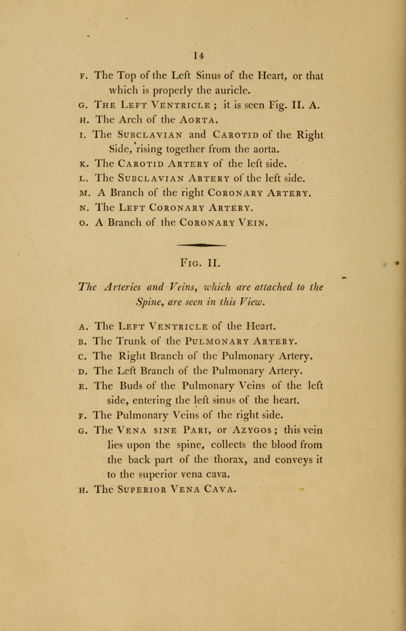 f. The Top of the Left Sinus of the Heart, or that which is properly the auricle. g. The Left Ventricle ; it is seen Fig. II. A. h. The Arch of the Aorta. i. The Subclavian and Carotid of the Right Side, rising together from the aorta. k. The Carotid Artery of the left side. l. The Subclavian Artery of the left side. m. A Branch of the right Coronary Artery. n. The Left Coronary Artery. o. A Branch of the Coronary Vein. Fig. II. The Arteries and Veins, which are attached to the Spine, are seen in this View. a. The Left Ventricle of the Heart. b. The Trunk of the Pulmonary Artery. c. The Right Branch of the Pulmonary Artery. d. The Left Branch of the Pulmonary Artery. e. The Buds of the Pulmonary Veins of the left side, entering the left sinus of the heart. f. The Pulmonary Veins of the right side. g. The Vena sine Pari, or Azygos; this vein lies upon the spine, collects the blood from the back part of the thorax, and conveys it to the superior vena cava. h. The Superior Vena Cava.