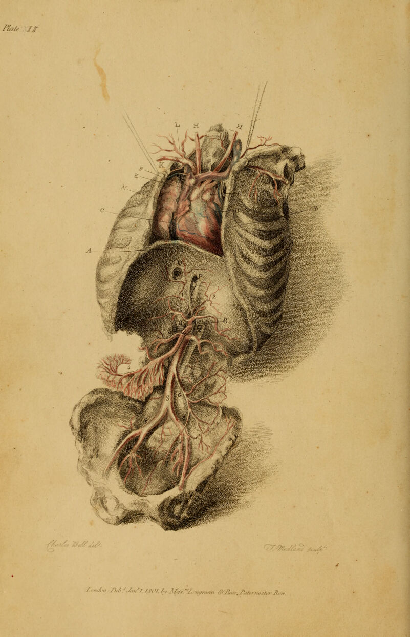 i i , ZonJon /;,/-\/,„7/..