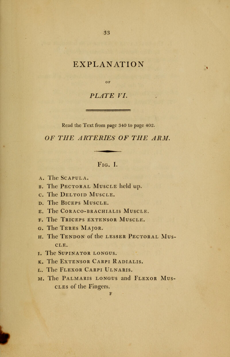 EXPLANATION PLATE VI. Read the Text from page 340 to page 402. OF THE ARTERIES OF THE ARM. Fig. I. a. The Scapula. b. The Pectoral Muscle held up. c The Deltoid Muscle. d. The Biceps Muscle. E. The CORACO-BRACHIALIS MUSCLE. f. The Triceps extensor Muscle. g. The Teres Major. h. The Tendon of the lesser Pectoral Mus- cle. i. The Supinator longus. k. The Extensor Carpi Radialis. l. The Flexor Carpi Ulnaris. m. The Palmaris longus and Flexor Mus- cles of the Fingers. r