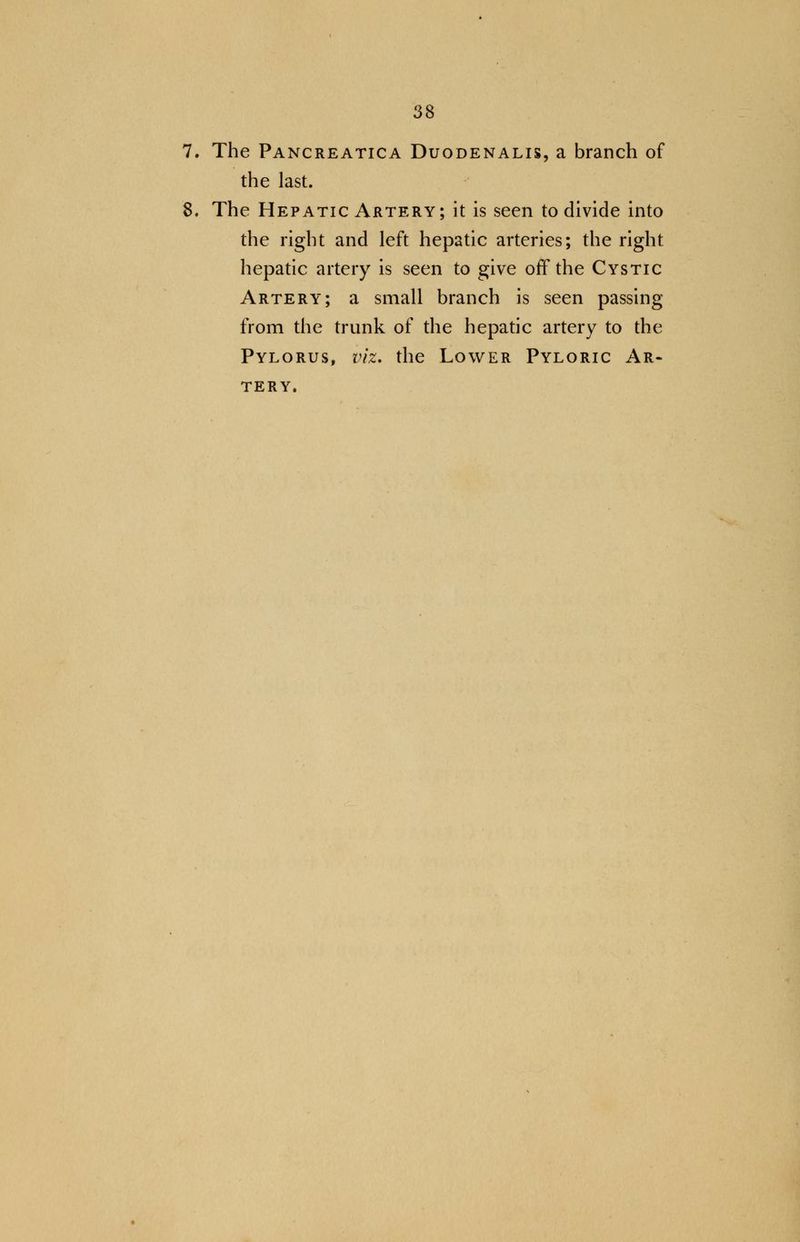 7. The Pancreatica Duodenalis, a branch of the last. 8. The Hepatic Artery; it is seen to divide into the right and left hepatic arteries; the right hepatic artery is seen to give off the Cystic Artery; a small branch is seen passing from the trunk of the hepatic artery to the Pylorus, viz. the Lower Pyloric Ar- tery.