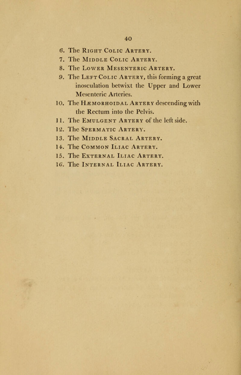 6. The Right Colic Artery. 7. The Middle Colic Artery. 8. The Lower Mesenteric Artery. 9. The Left Colic Artery, this forming a great inosculation betwixt the Upper and Lower Mesenteric Arteries. 10. The H^morhoidal Artery descending with the Rectum into the Pelvis. 11. The Emulgent Artery of the left side. VI. The Spermatic Artery. 13. The Middle Sacral Artery. 14. The Common Iliac Artery. 15. The External Iliac Artery.