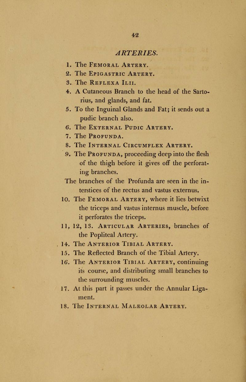 ARTERIES. 1. The Femoral Artery. 2. The Epigastric Artery. 3. The Reflexa Ilii. 4. A Cutaneous Branch to the head of the Sarto- rius, and glands, and fat. 5. To the Inguinal Glands and Fat; it sends out a pudic branch also. 6. The External Pudic Artery. 7. The Profunda. 8. The Internal Circumflex Artery. 9. The Profunda, proceeding deep into the flesh of the thigh before it gives off the perforat- ing branches. The branches of the Profunda are seen in the in- terstices of the rectus and vastus externus. 10. The Femoral Artery, where it lies betwixt the triceps and vastus internus muscle, before it perforates the triceps. 11, 12, 13. Articular Arteries, branches of the Popliteal Artery. 14. The Anterior Tibial Artery. 15. The Reflected Branch of the Tibial Artery. 16. The Anterior Tibial Artery, continuing its course, and distributing small branches to the surrounding muscles. 17. At this part it passes under the Annular Liga- ment. 18. The Internal Maleolar Artery.