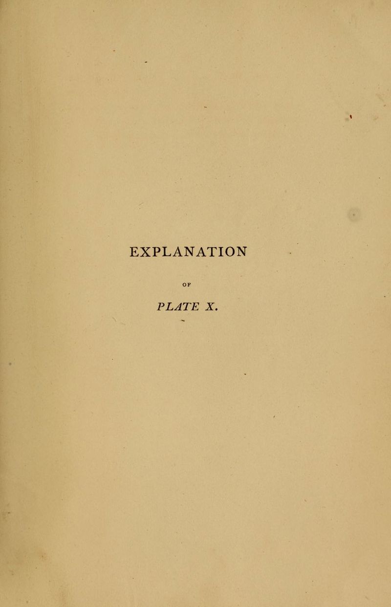 EXPLANATION PLATE X.