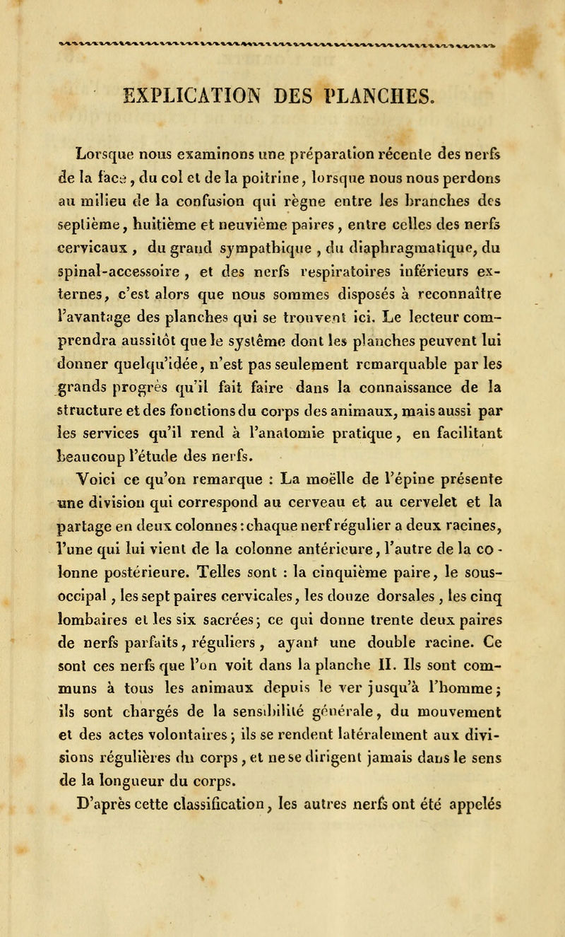 EXPLICATION DES PLANCHES. Lorsque nous examinons une préparation récente des nerfs de la face, du col et de la poitrine, lorsque nous nous perdons au milieu de la confusion qui règne entre les branches des septième, huitième et neuvième paires, entre celles des nerfs cervicaux , du grand sympathique , du diaphragmatique, du spinal-accessoire , et des nerfs respiratoires inférieurs ex- ternes, c'est alors que nous sommes disposés à reconnaître l'avantage des planches qui se trouvent ici. Le lecteur com- prendra aussitôt que le système dont les planches peuvent lui donner quelqu'idée, n'est pas seulement remarquable par les grands progrès qu'il fait faire dans la connaissance de la structure et des fonctionsdu corps des animaux, mais aussi par les services qu'il rend à l'anatomie pratique, en facilitant beaucoup l'étude des nerfs. Voici ce qu'on remarque : La moelle de l'épine présente une division qui correspond au cerveau et au cervelet et la partage en deux colonnes: chaque nerf régulier a deux racines, l'une qui lui vient de la colonne antérieure, l'autre de la co - îonne postérieure. Telles sont : la cinquième paire, le sous- occipal, les sept paires cervicales, les douze dorsales , les cinq lombaires et les six sacrées- ce qui donne trente deux paires de nerfs parfaits, réguliers, ayant une double racine. Ce sont ces nerfs que l'on voit dans la planche II. Ils sont com- muns à tous les animaux depuis le ver jusqu'à l'homme; ils sont chargés de la sensibilité générale, du mouvement et des actes volontaires ; ils se rendent latéralement aux divi- sions régulières du corps, et ne se dirigent jamais dans le sens de la longueur du corps. D'après cette classification, les autres nerfs ont été appelés