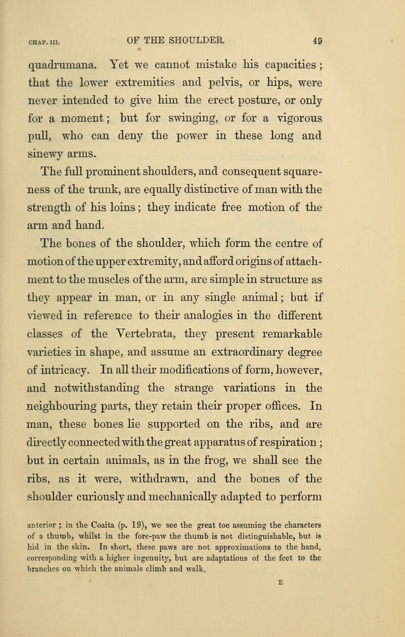 quadrurnana. Yet we cannot mistake his capacities; that the lower extremities and pelvis, or hips, were never intended to give him the erect posture, or only for a moment; but for swinging, or for a vigorous pull, who can deny the power in these long and sinewy arms. The full prominent shoulders, and consequent square- ness of the trunk, are equally distinctive of man with the strength of his loins; they indicate free motion of the arm and hand. The bones of the shoulder, which form the centre of motion of the upper extremity, and afford origins of attach- ment to the muscles of the arm, are simple in structure as they appear in man, or in any single animal; but if viewed in reference to their analogies in the different classes of the Vertebrata, they present remarkable varieties in shape, and assume an extraordinary degree of intricacy. In all their modifications of form, however, and notwithstanding the strange variations in the neighbouring parts, they retain their proper offices. In man, these bones lie supported on the ribs, and are directly connected with the great apparatus of respiration; but in certain animals, as in the frog, we shall see the ribs, as it were, withdrawn, and the bones of the shoulder curiously and mechanically adapted to perform anterior ; in the Coaita (p. 19), we see the great toe assuming the characters of a thumb, whilst in the fore-paw the thumb is not distinguishable, but is hid in the skin. In short, these paws are not approximations to the hand, corresponding with a higher ingenuity, but are adaptations of the feet to the branches on which the animals climb and walk.