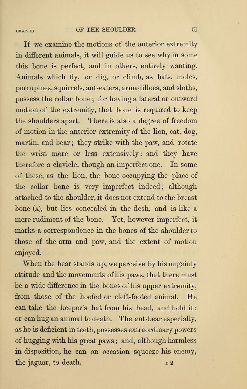If we examine the motions of the anterior extremity in different animals, it will guide us to see why in some this bone is perfect, and in others, entirely wanting. Animals which fly, or dig, or climb, as bats, moles, porcupines, squirrels, ant-eaters, armadilloes, and sloths, possess the collar bone; for having a lateral or outward motion of the extremity, that bone is required to keep the shoulders apart. There is also a degree of freedom of motion in the anterior extremity of the lion, cat, dog, martin, and bear; they strike with the paw, and rotate the wrist more or less extensively: and they have therefore a clavicle, though an imperfect one. In some of these, as the lion, the bone occupying the place of the collar bone is very imperfect indeed; although attached to the shoulder, it does not extend to the breast bone (a), but lies concealed in the flesh, and is like a mere rudiment of the bone. Yet, however imperfect, it marks a correspondence in the bones of the shoulder to those of the arm and paw, and the extent of motion enjoyed. When the bear stands up, we perceive by his ungainly attitude and the movements of his paws, that there must be a wide difference in the bones of his upper extremity, from those of the hoofed or cleft-footed animal. He can take the keeper's hat from his head, and hold it; or can hug an animal to death. The ant-bear especially, as he is deficient in teeth, possesses extraordinary powers of hugging with his great paws; and, although harmless in disposition, he can on occasion squeeze his enemy, the jaguar, to death. e 2