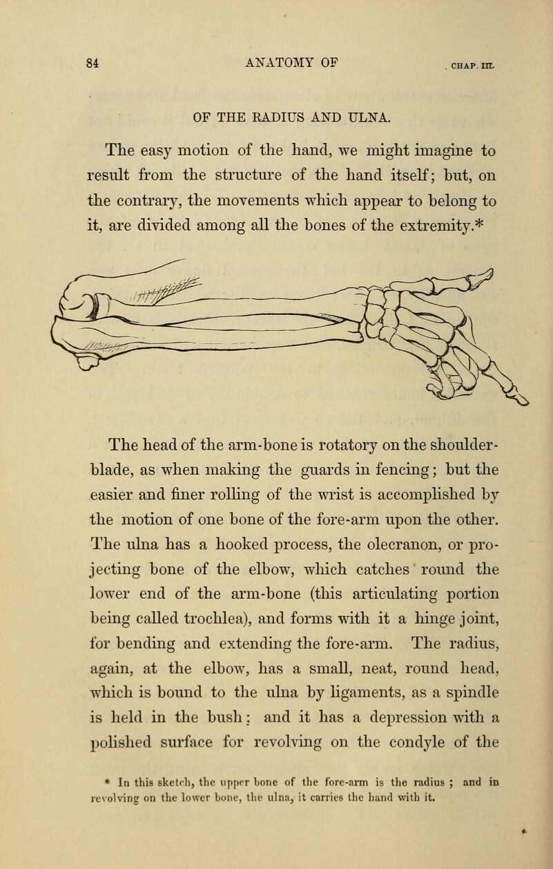 OF THE EADIUS AND ULNA. The easy motion of the hand, we might imagine to result from the structure of the hand itself; but, on the contrary, the movements which appear to belong to it, are divided among all the bones of the extremity.* The head of the arm-bone is rotatory on the shoulder- blade, as when making the guards in fencing; but the easier and finer rolling of the wrist is accomplished by the motion of one bone of the fore-arm upon the other. The ulna has a hooked process, the olecranon, or pro- jecting bone of the elbow, which catches round the lower end of the arm-bone (this articulating portion being called trochlea), and forms with it a hinge joint, for bending and extending the fore-arm. The radius, again, at the elbow, has a small, neat, round head, which is bound to the ulna by ligaments, as a spindle is held in the bush: and it has a depression with a polished surface for revolving on the condyle of the * In this sketch, the upper bone of the fore-arm is the radius ; and in revolving on the lower bone, the ulna, it carries the hand with it.