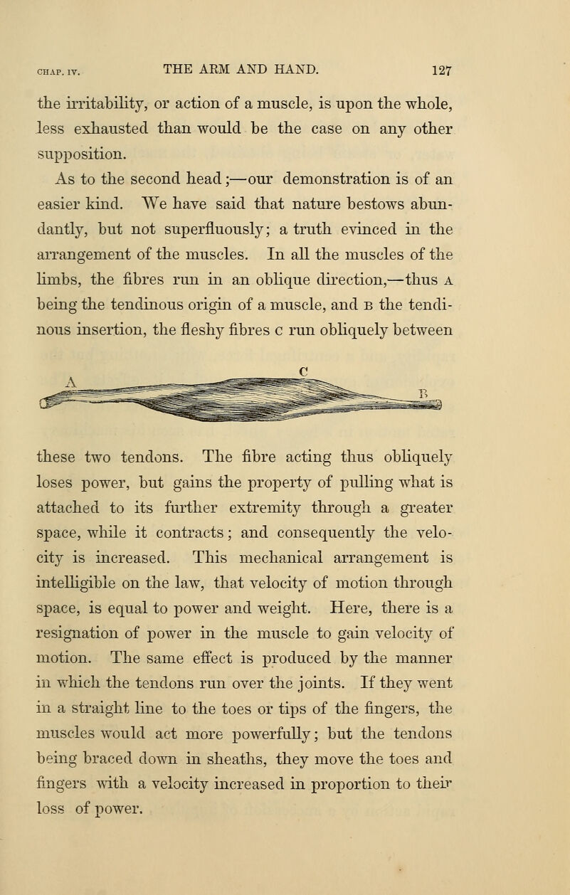 the irritability, or action of a muscle, is upon the whole, less exhausted than would be the case on any other supposition. As to the second head;—our demonstration is of an easier kind. We have said that nature bestows abun- dantly, but not superfluously; a truth evinced in the arrangement of the muscles. In all the muscles of the limbs, the fibres run in an oblique direction,—thus a being the tendinous origin of a muscle, and b the tendi- nous insertion, the fleshy fibres c run obliquely between these two tendons. The fibre acting thus obliquely loses power, but gains the property of pulling what is attached to its further extremity through a greater space, while it contracts; and consequently the velo- city is increased. This mechanical arrangement is intelligible on the law, that velocity of motion through space, is equal to power and weight. Here, there is a resignation of power in the muscle to gain velocity of motion. The same effect is produced by the manner in which the tendons run over the joints. If they went in a straight line to the toes or tips of the fingers, the muscles would act more powerfully; but the tendons being braced down in sheaths, they move the toes and fingers with a velocity increased in proportion to their loss of power.