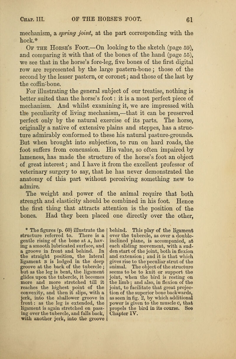 mechanism, a spring joint, at the part corresponding with the hock.* Of the Hoese's Foot.—On looking to the sketch (page 59), and comparing it with that of the bones of the hand (page 55), we see that in the horse's fore-leg, five bones of the first digital row are represented by the large pastern-bone; those of the second by the lesser pastern, or coronet; and those of the last by the cofnn:bone. For illustrating the general subject of our treatise, nothing is better suited than the horse's foot: it is a most perfect piece of mechanism. And whilst examining it, we are impressed with the peculiarity of living mechanism,—that it can be preserved perfect only by the natural exercise of its parts. The horse, originally a native of extensive plains and steppes, has a struc- ture admirably conformed to these his natural pasture-grounds. But when brought into subjection, to run on hard roads, the foot suffers from concussion. His value, so often impaired by lameness, has made the structure of the horse's foot an object of great interest; and I have it from the excellent professor of veterinary surgery to say, that he has never demonstrated the anatomy of this part without perceiving something new to admire. The weight and power of the animal require that both strength and elasticity should be combined in his foot. Hence the first thing that attracts attention is the position of the bones. Had they been placed one directly over the other, * The figures (p. 60) illustrate the structure referred to. There is a gentle rising of the bone at A, hav- ing a smooth lubricated surface, and a groove in front and behind. In the straight position, the lateral ligament B is lodged in the deep groove at the back of the tubercle ; but as the leg is bent, the ligament glides upon the tubercle, it becomes more and more stretched till it reaches the highest point of the convexity, and then it slips, with a jerk, into the shallower groove in front: as the leg is extended, the ligament is again stretched on pass- ing over the tubercle, and falls back, with another jerk, into the groove behind. This play of the ligament over the tubercle, as over a double- inclined plane, is accompanied, at each sliding movement, with a sud- den start of the joint, both in flexion and extension ; and it is that which gives rise to the peculiar strut of the animal. The object of the structure seems to be to knit or support the joint, when the bird is resting on the limb ; and also, in flexion of the joint, to facilitate that great projec- tion of the superior bone backwards, as seen in fig. 2, by which additional power is given to the muscle C, that propels the bird in its course. See Chapter IV.